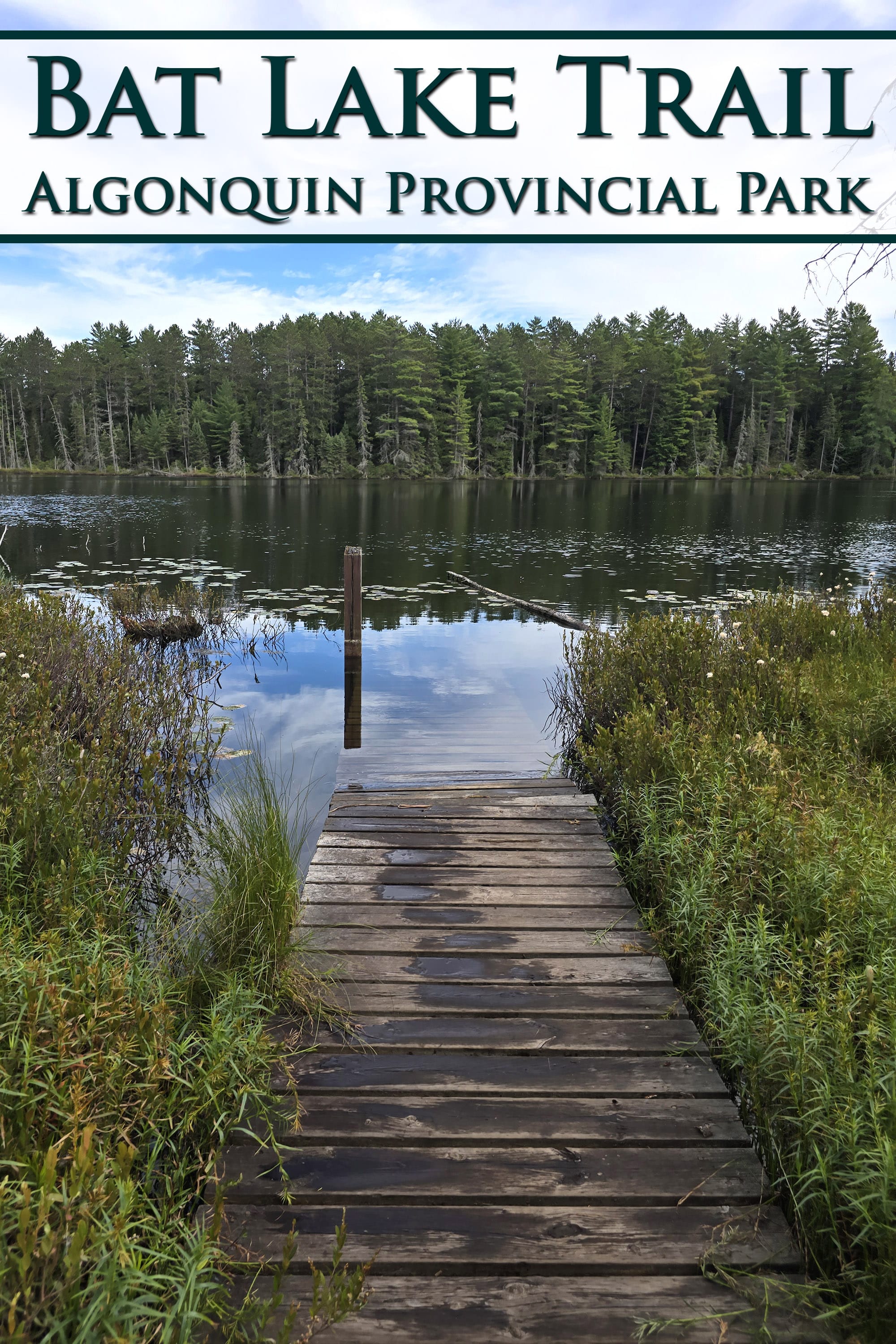 A view over an acidic lake. Overlaid text says bat lake trail, algonquin provincial park.