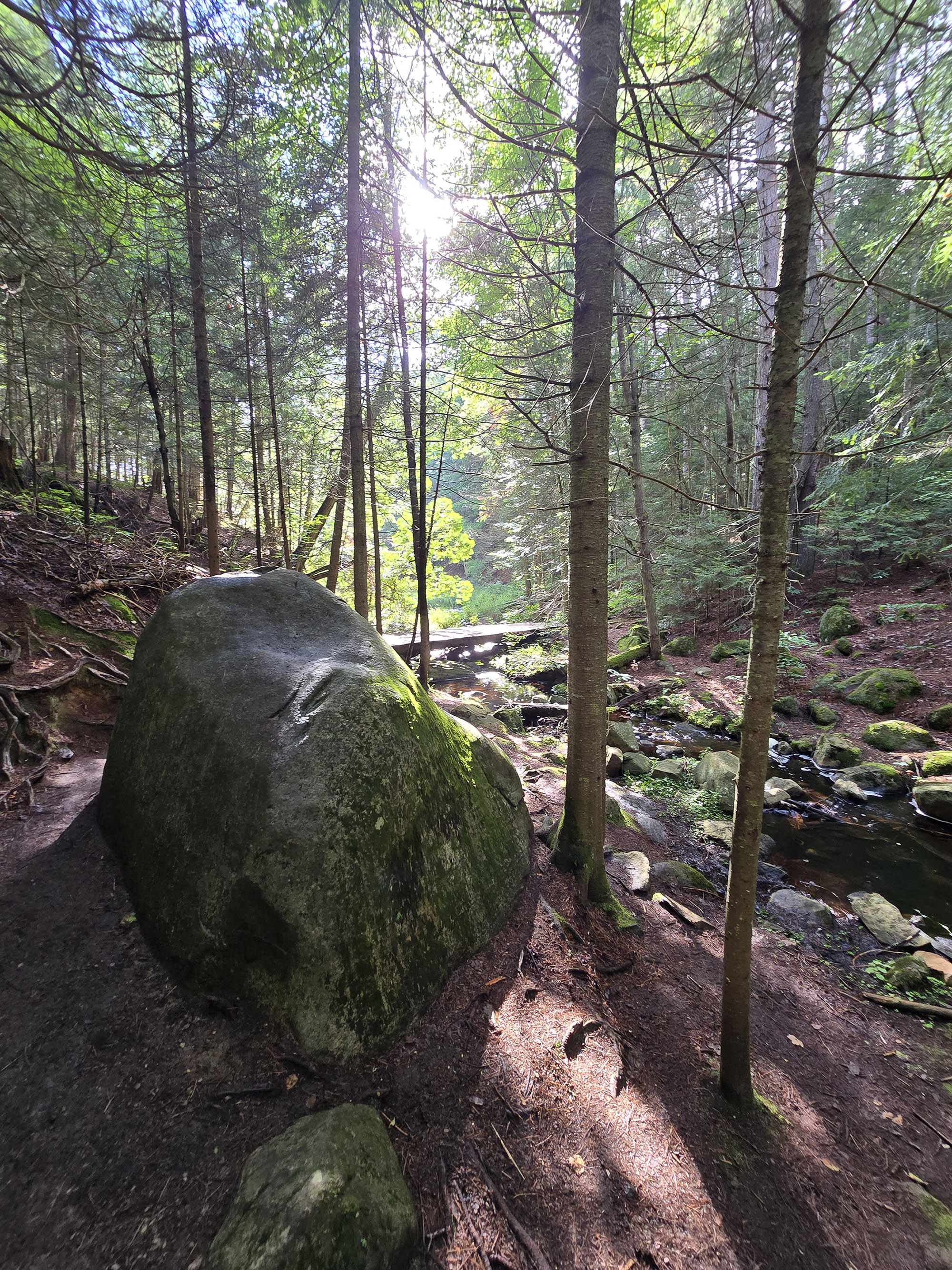 A scenic view along the Beaver Pond Trail in Algonquin Provincial Park.