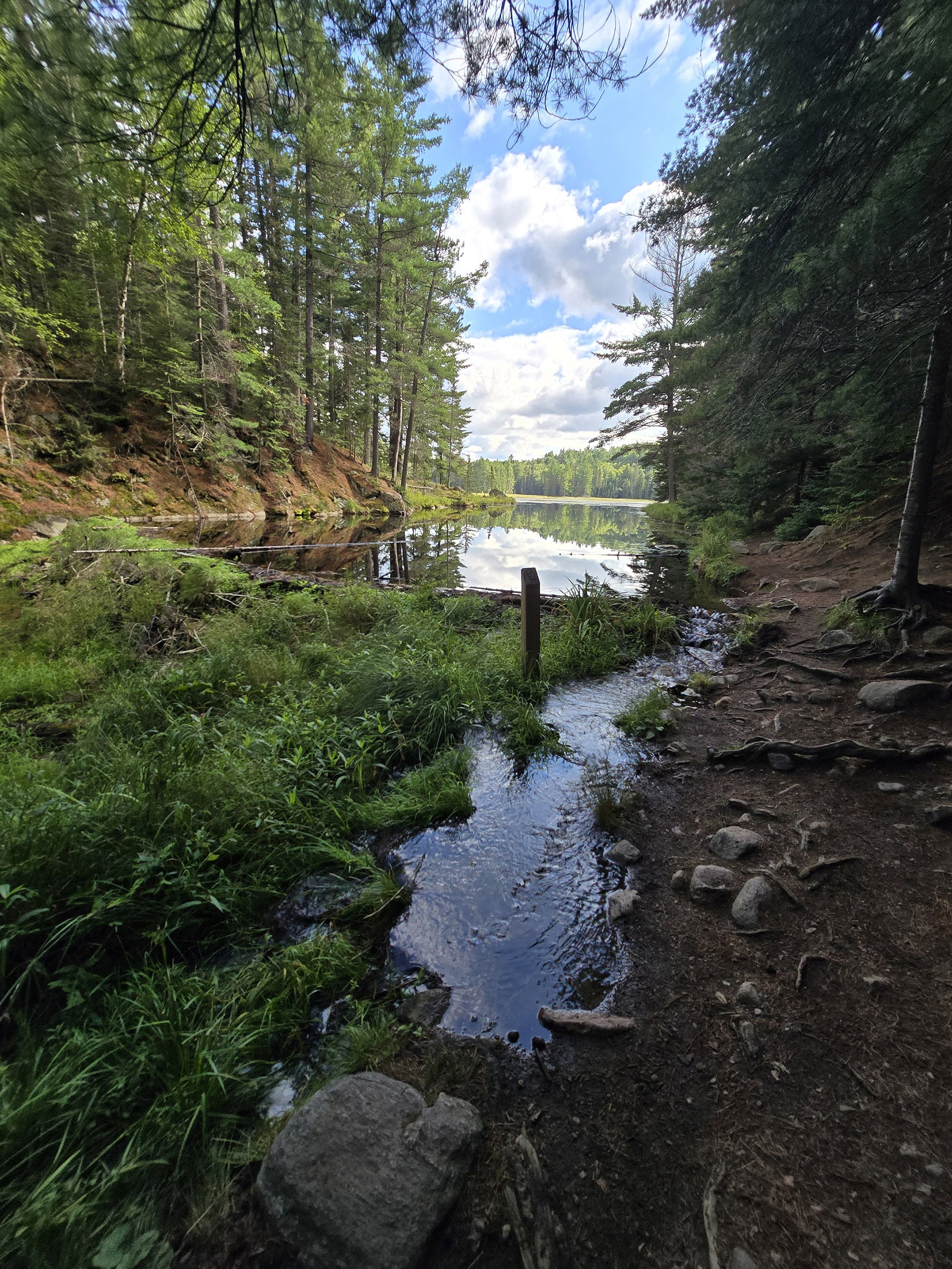 A scenic view along the Beaver Pond Trail in Algonquin Provincial Park.