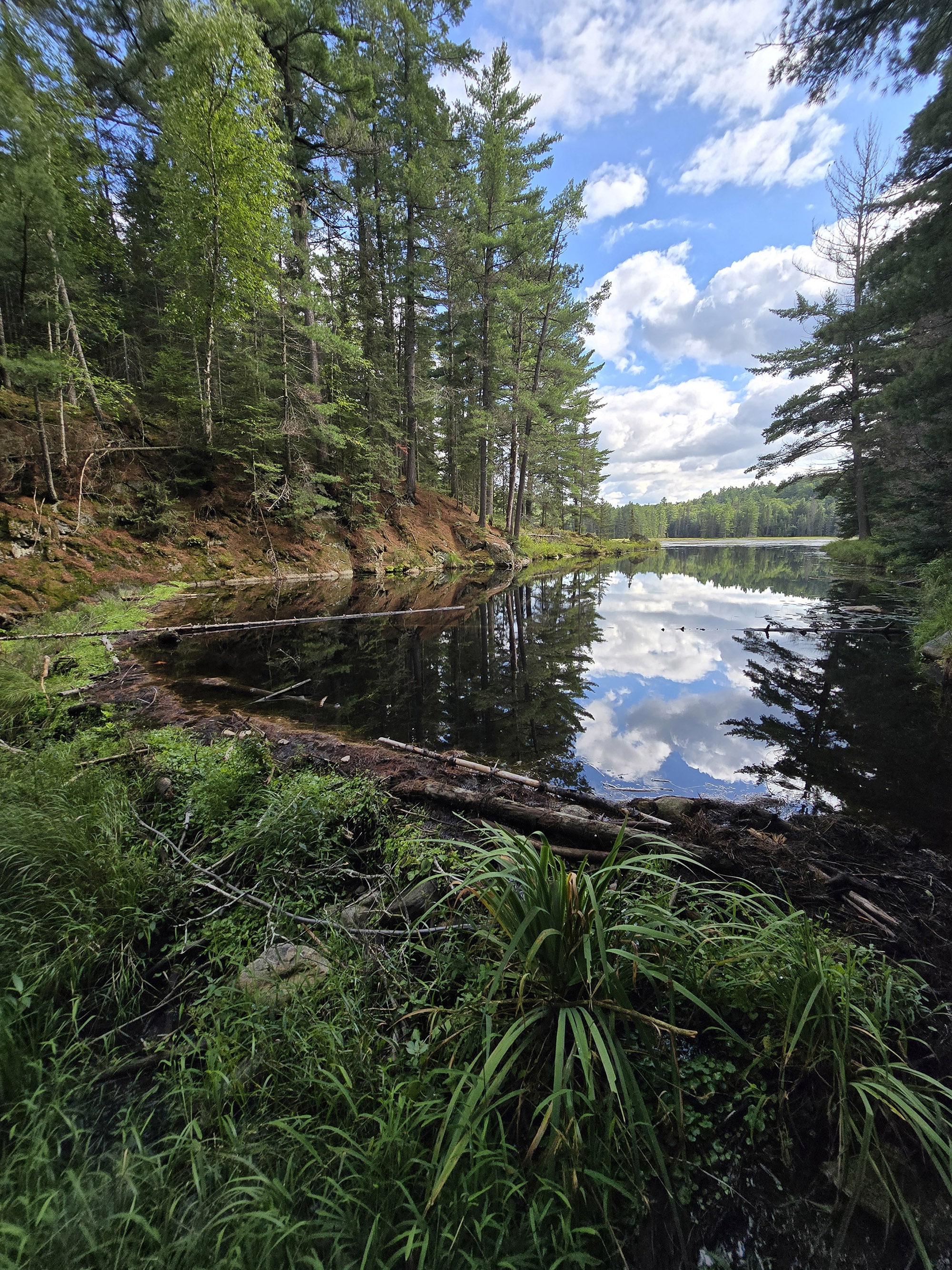 A scenic view along the Beaver Pond Trail in Algonquin Provincial Park.