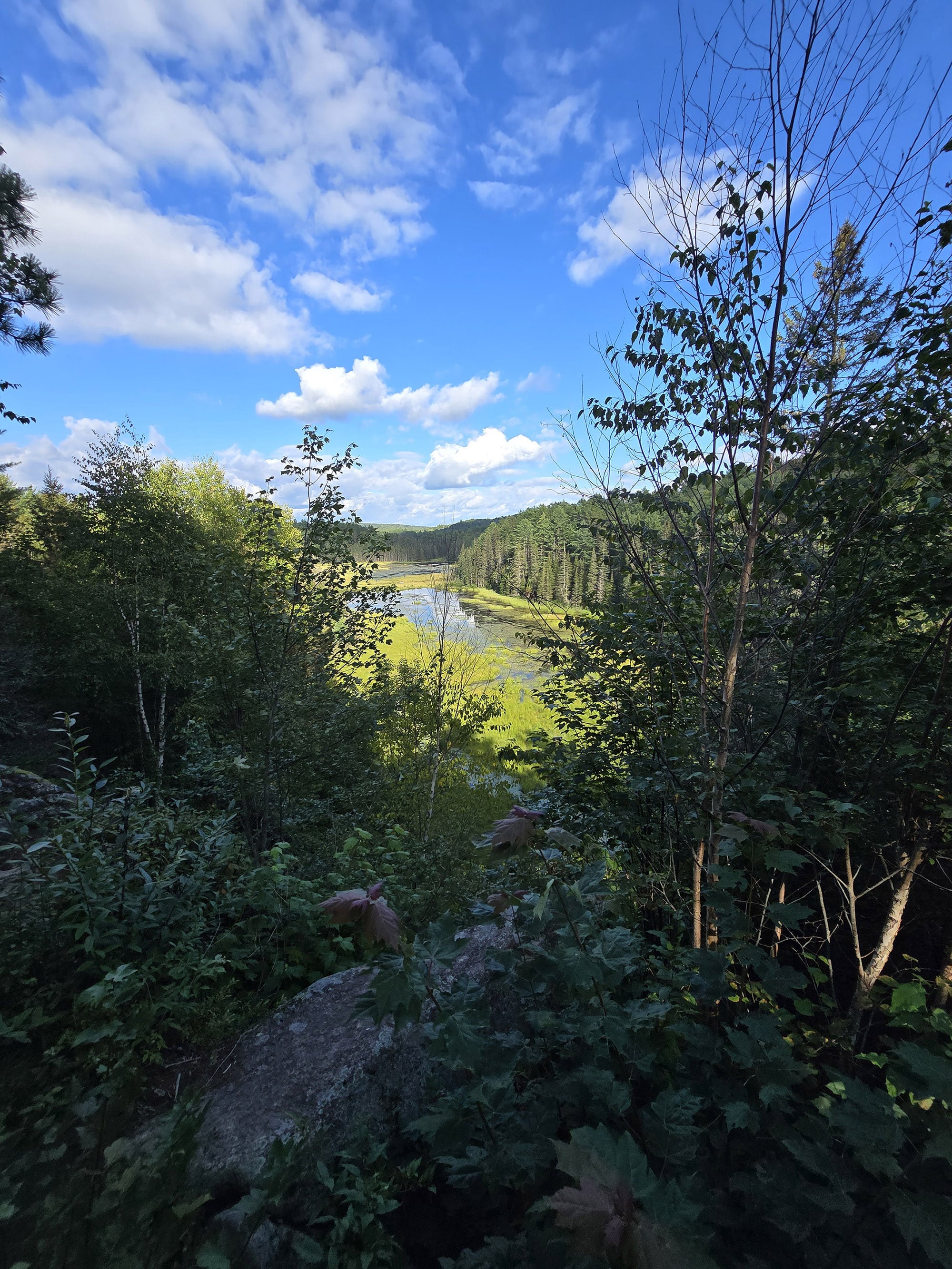 A scenic view along the Beaver Pond Trail in Algonquin Provincial Park.