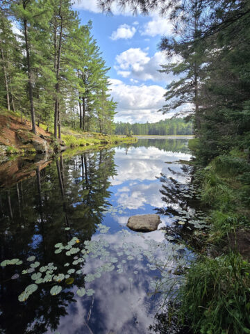 A scenic view along the Beaver Pond Trail in Algonquin Provincial Park.