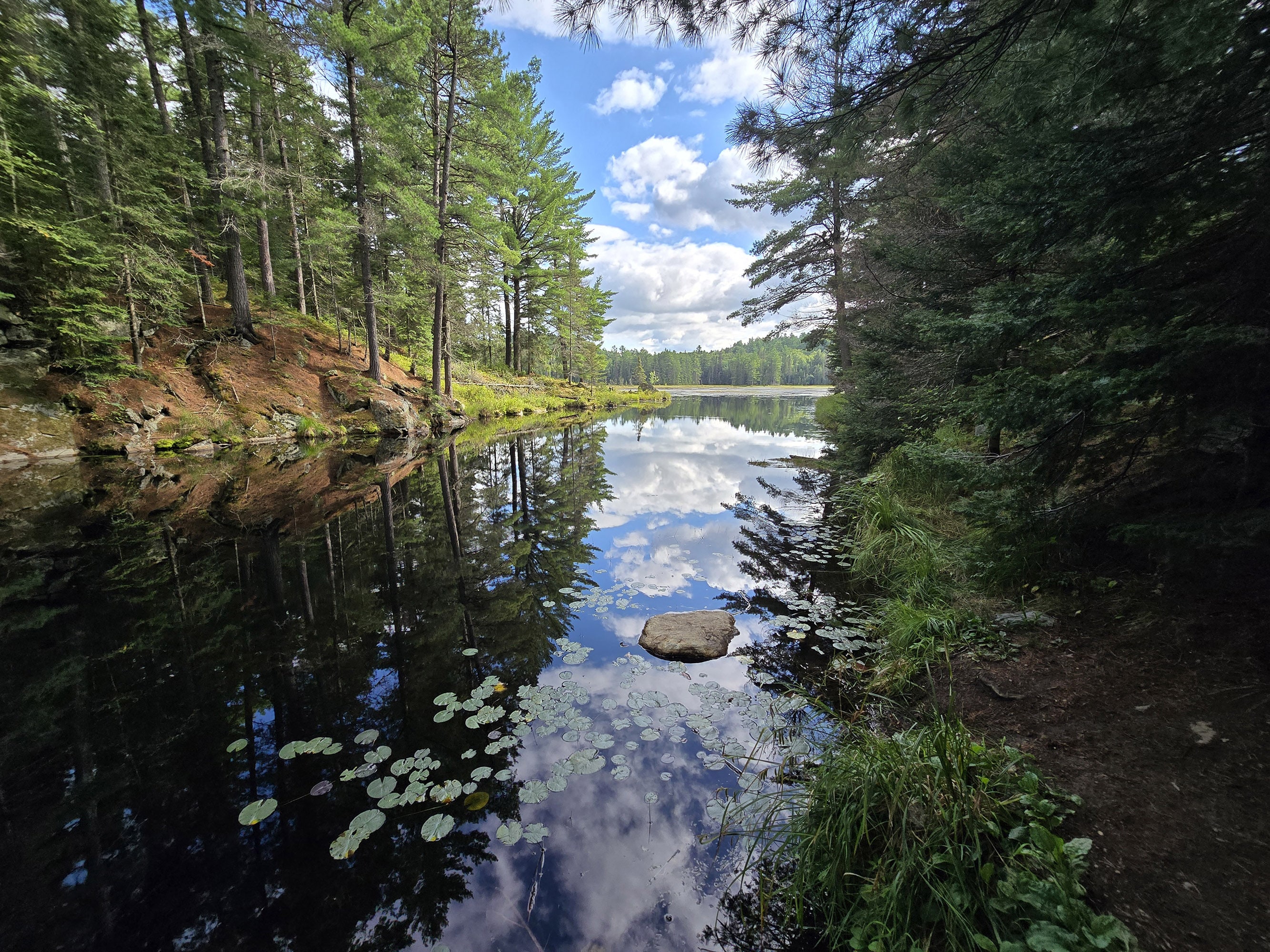 A scenic view along the Beaver Pond Trail in Algonquin Provincial Park.