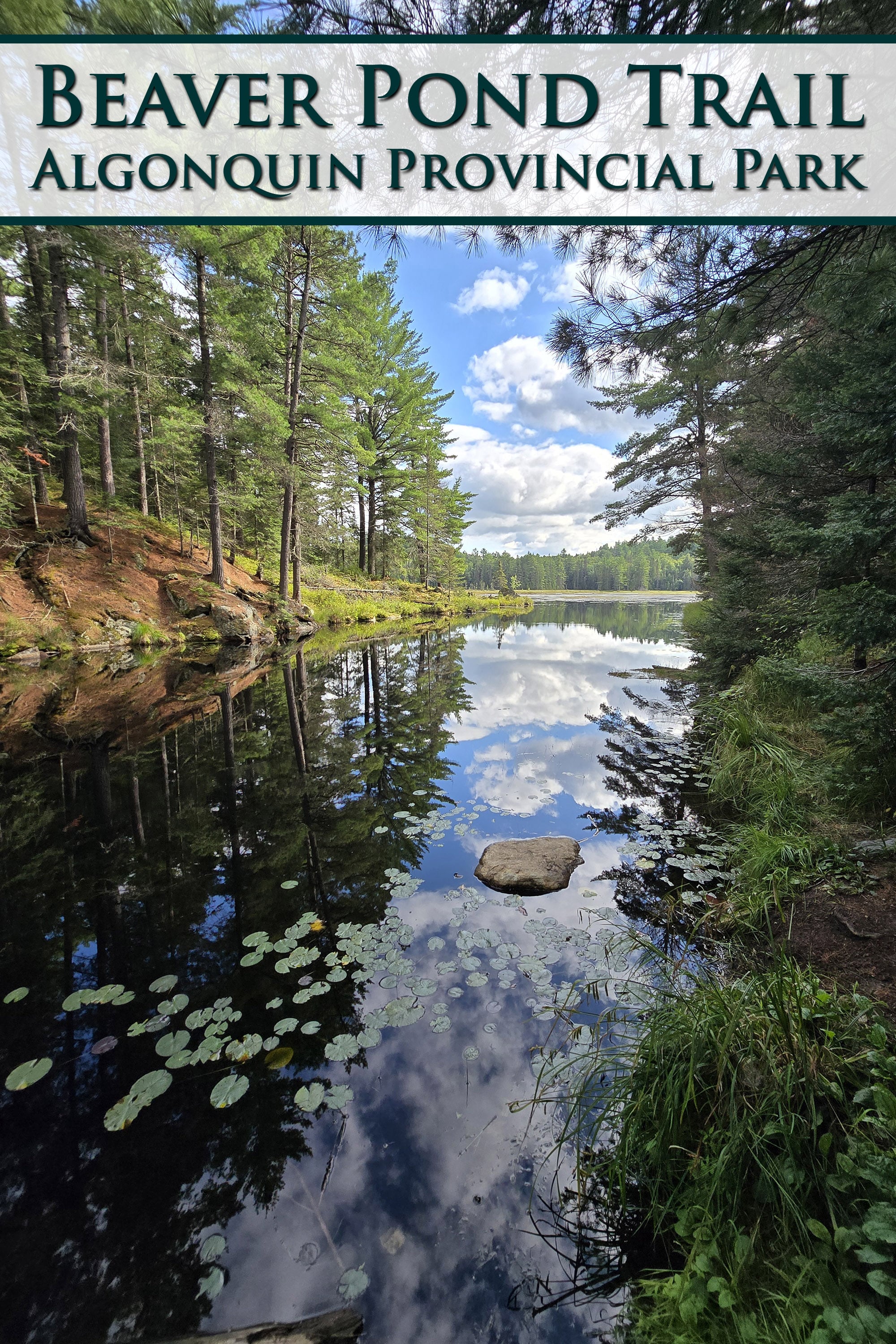 A scenic view over a pond. Overlaid text says Beaver Pond Trail, Algonquin Provincial Park.