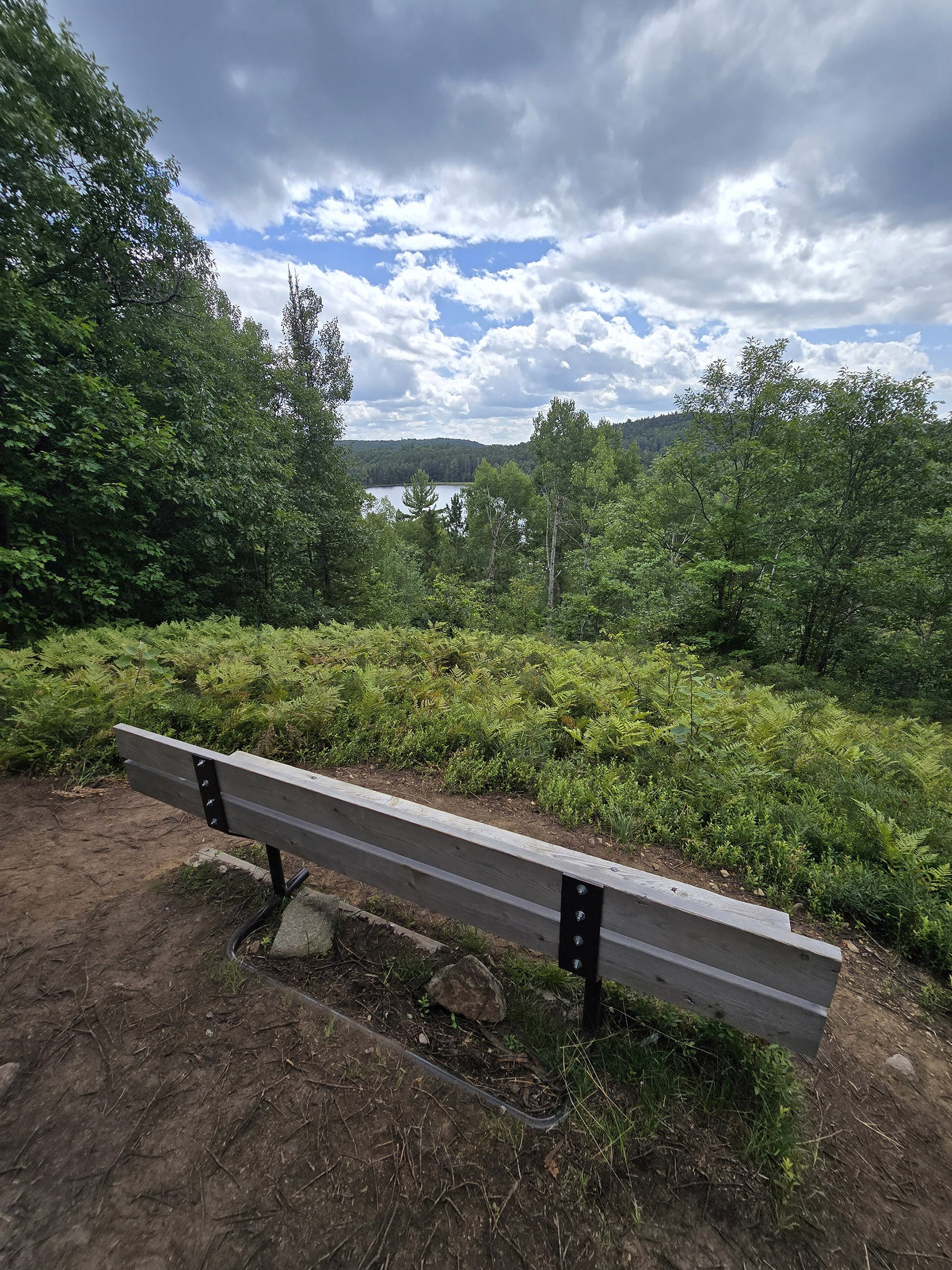 A scenic view along the Fork Lake Trail in Algonquin Provincial Park.