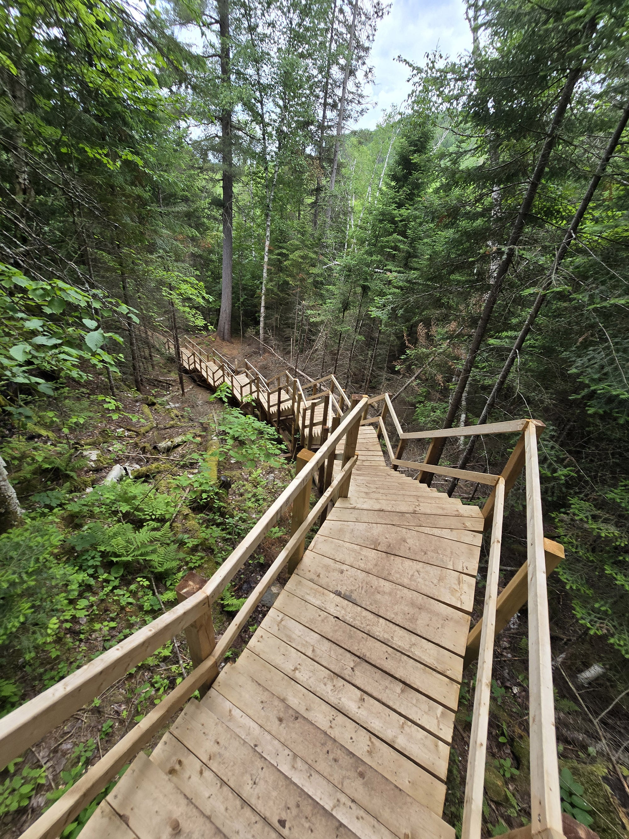 A scenic view along the Fork Lake Trail in Algonquin Provincial Park.