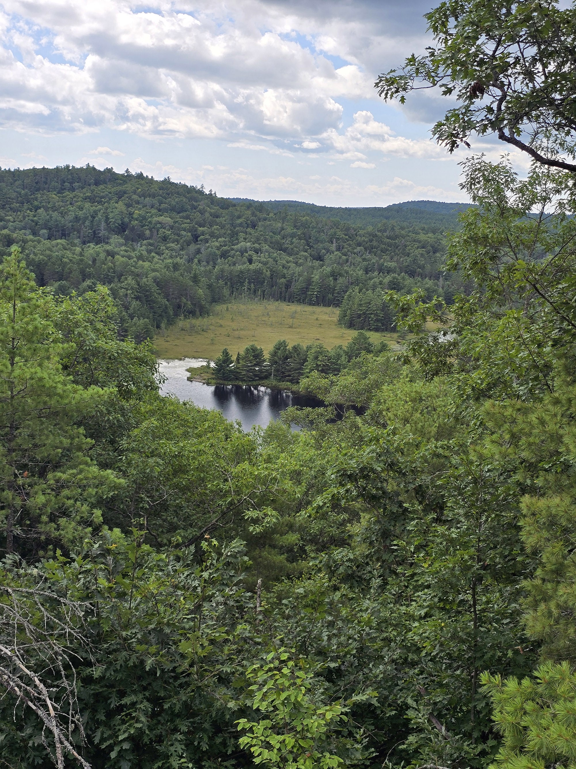 A scenic view along the Fork Lake Trail in Algonquin Provincial Park.