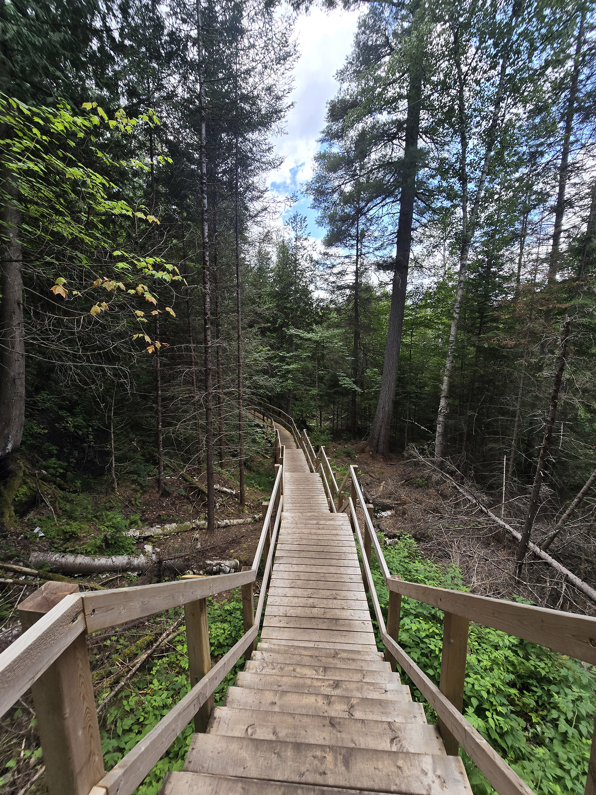 A scenic view along the Fork Lake Trail in Algonquin Provincial Park.