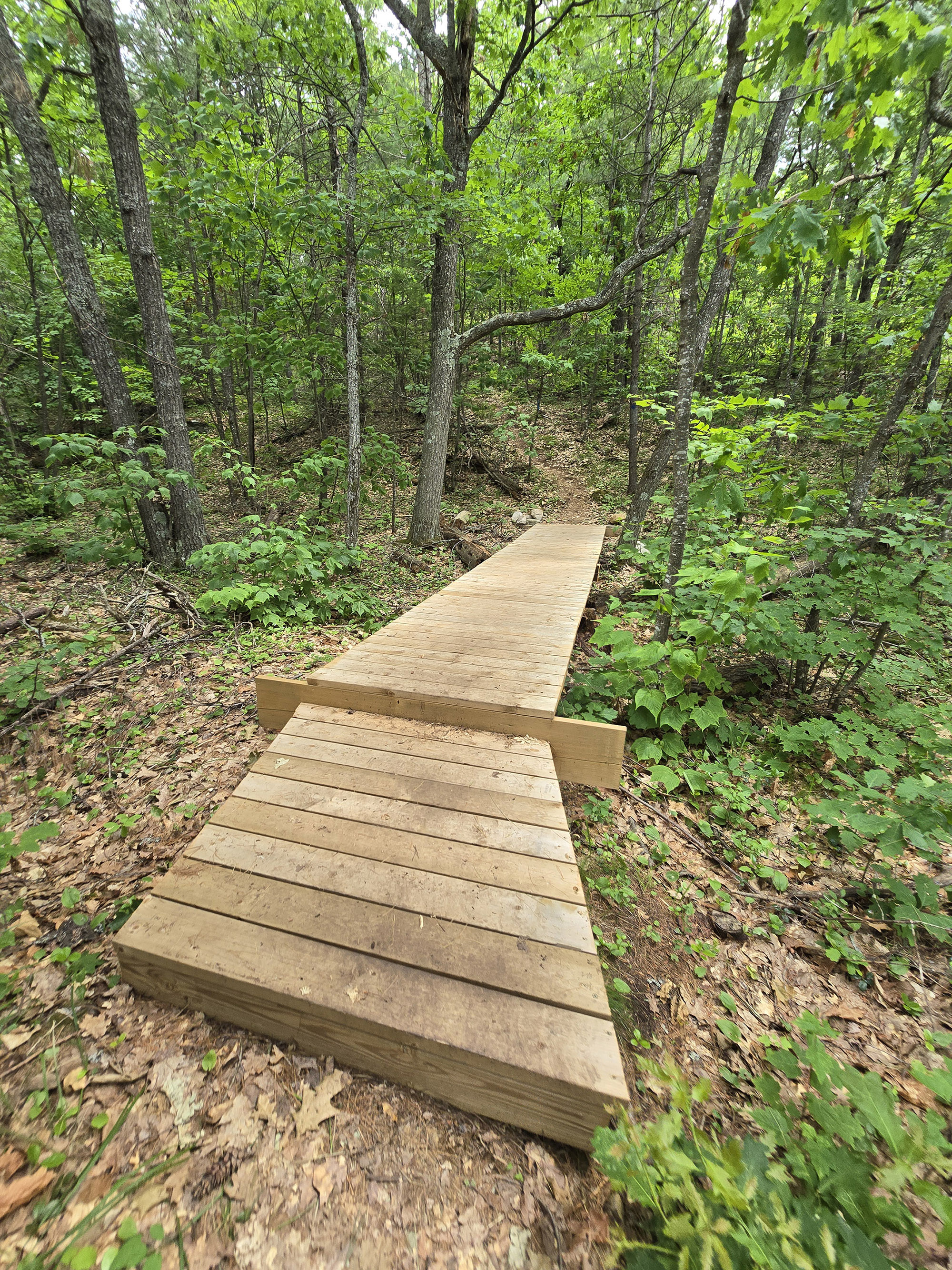 A scenic view along the Fork Lake Trail in Algonquin Provincial Park.