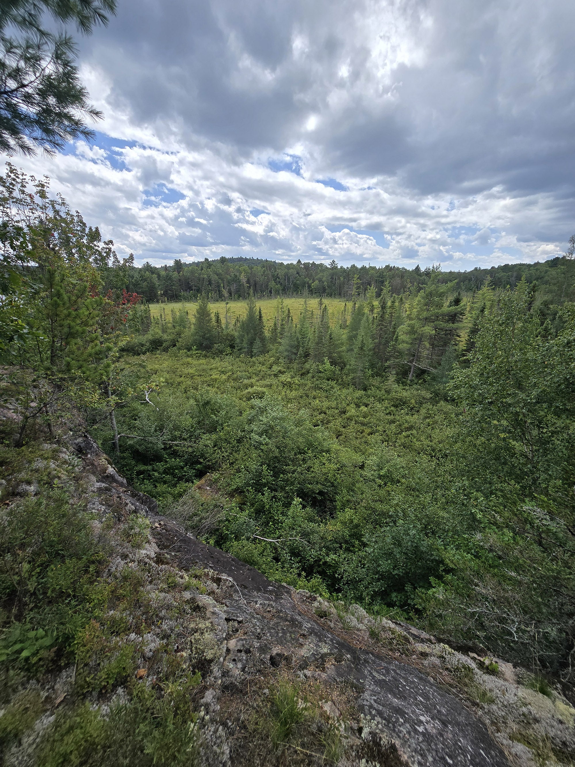 A scenic view along the Fork Lake Trail in Algonquin Provincial Park.