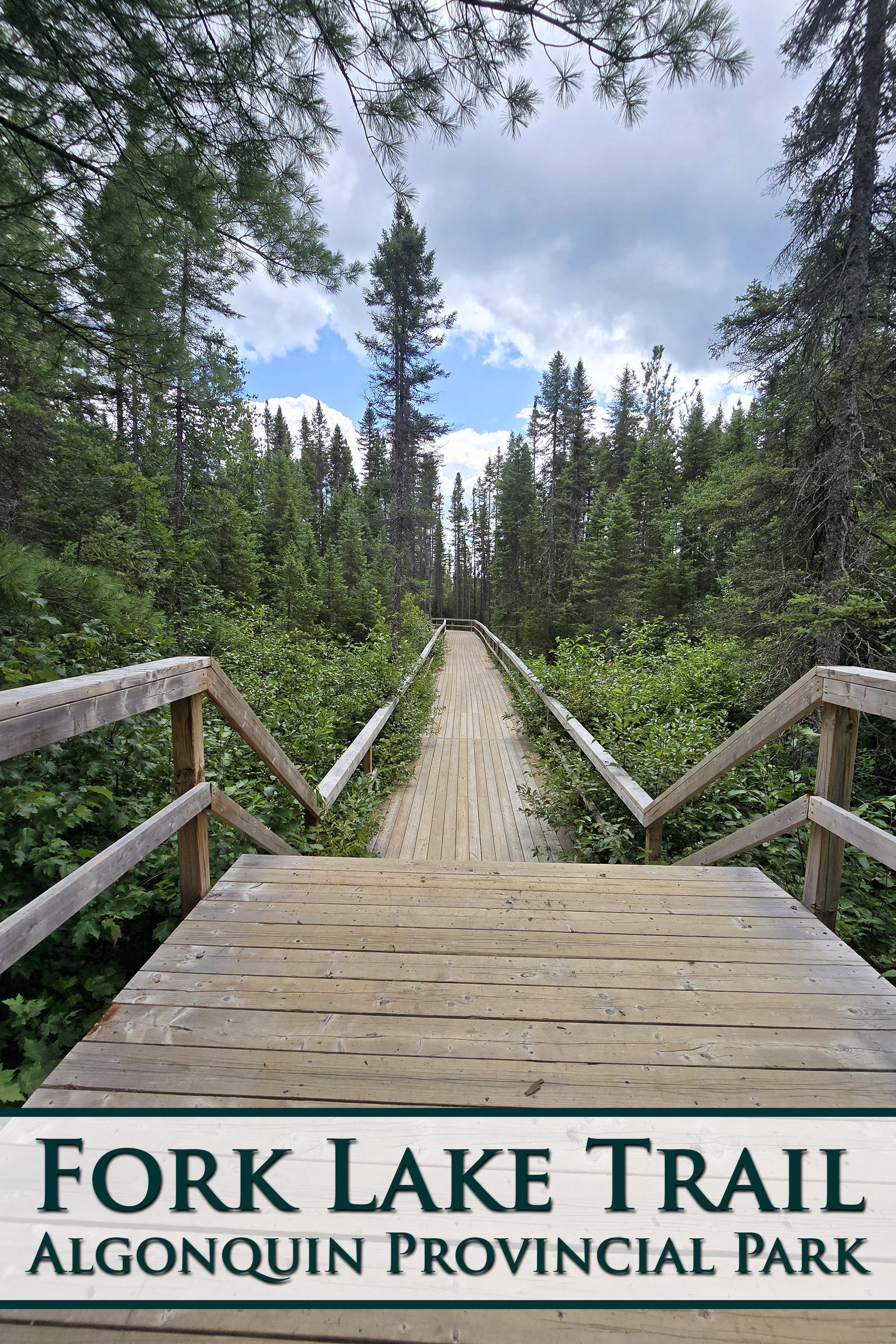 A boardwalk extending into a pine forest.  Overlaid text says Fork Lake Trail, Algonquin Provincial Park.