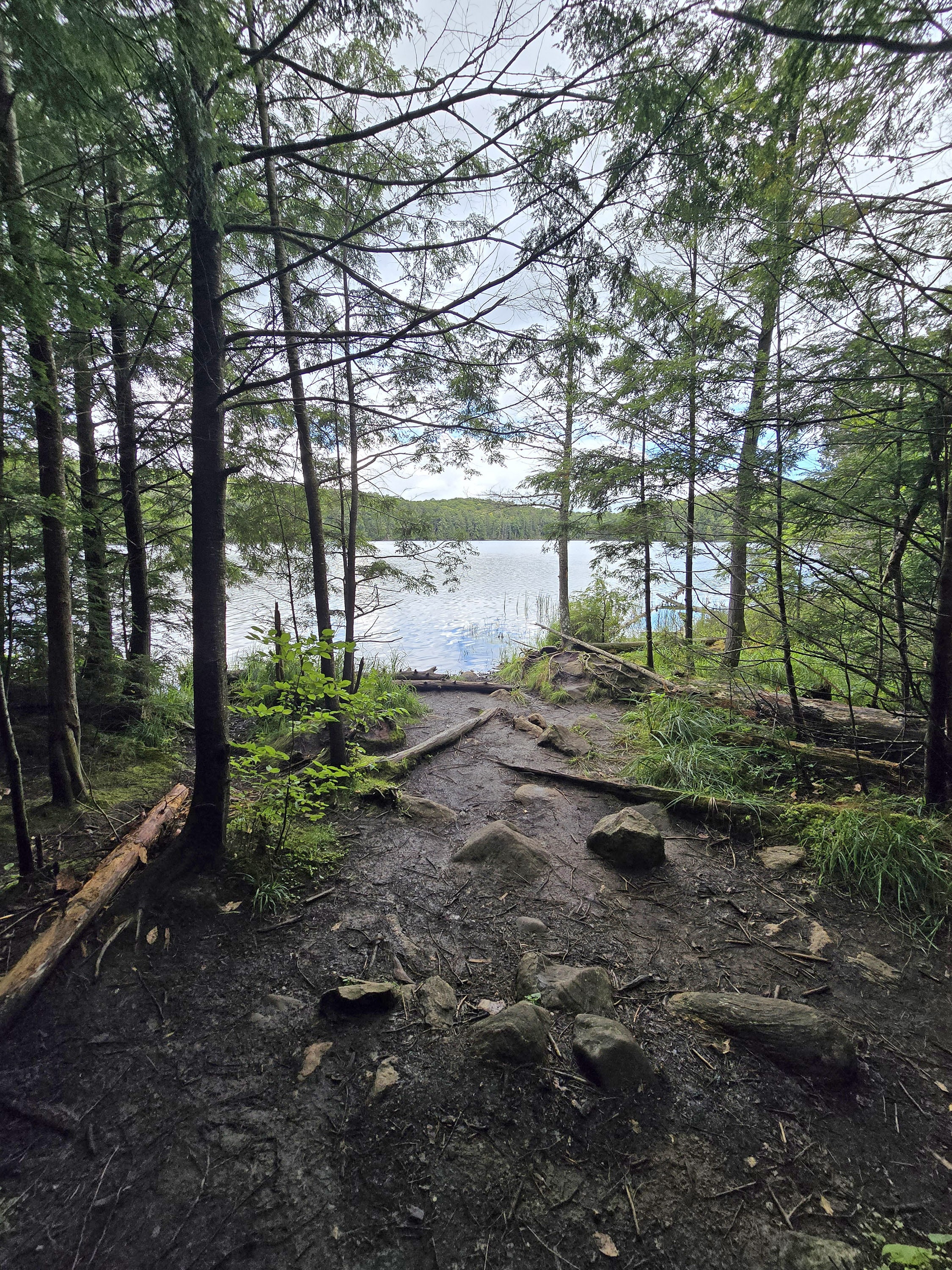 A scenic view along the Hemlock Bluff Trail in Algonquin Provincial Park.