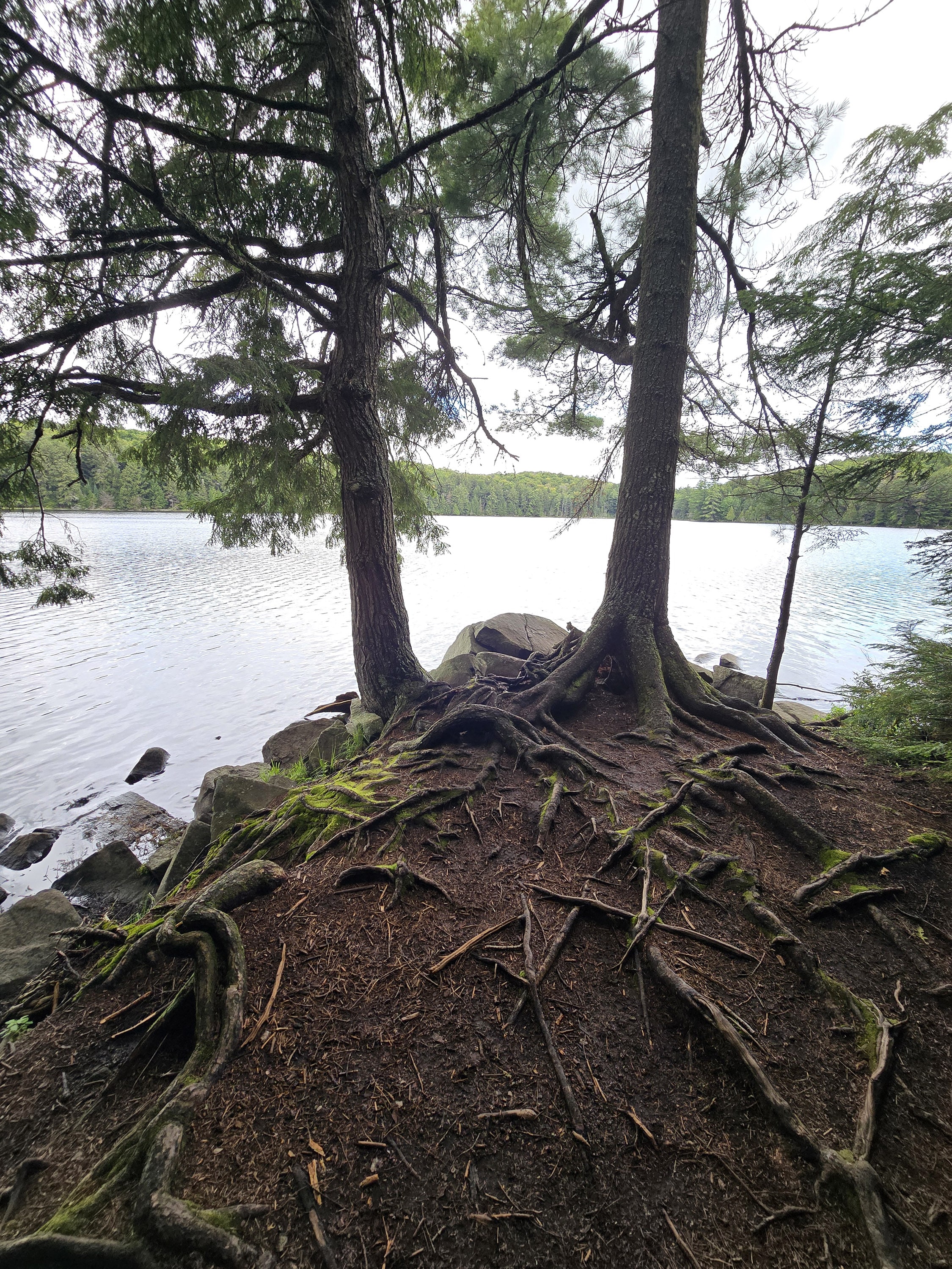 A scenic view along the Hemlock Bluff Trail in Algonquin Provincial Park.