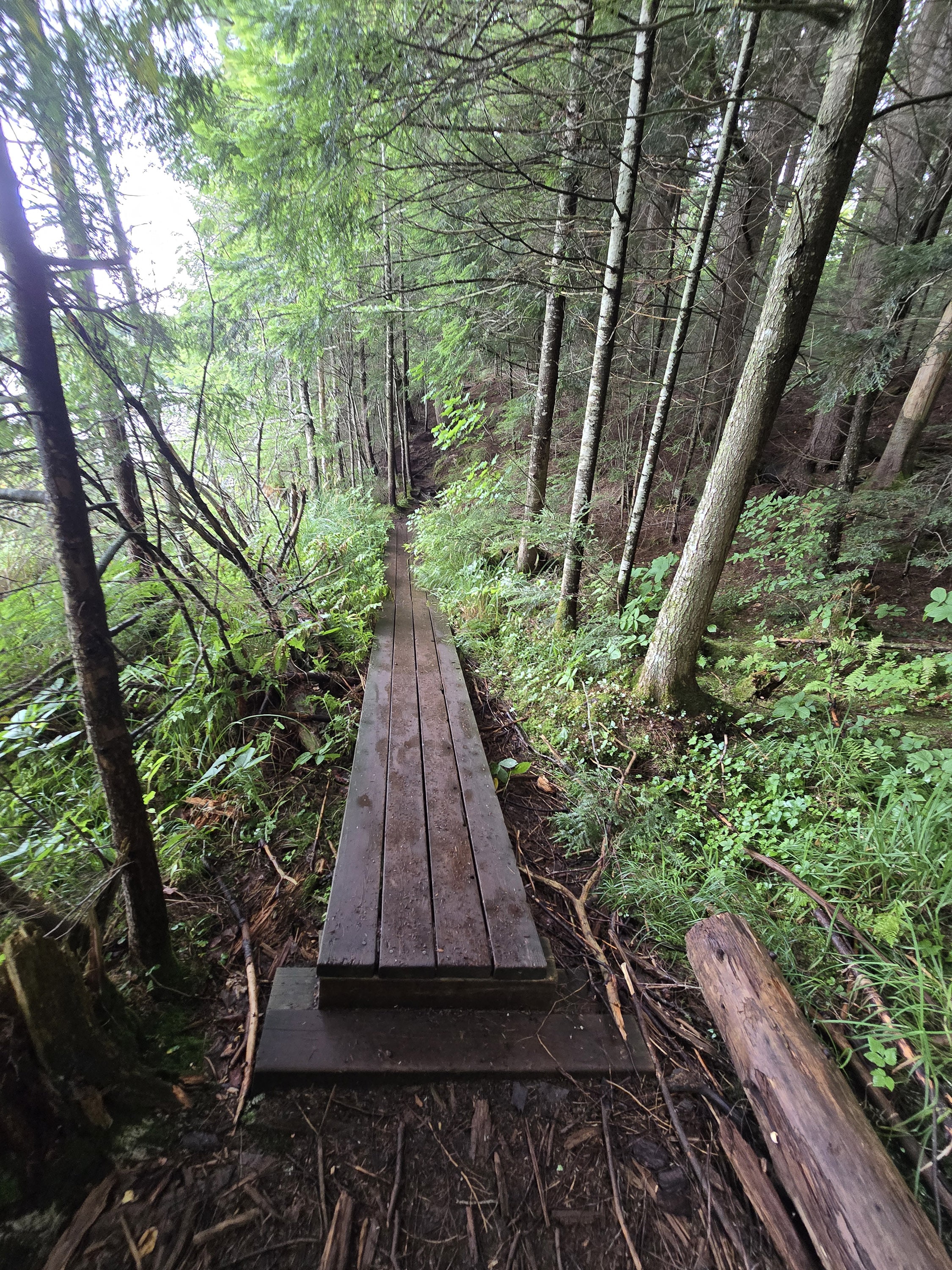 A scenic view along the Hemlock Bluff Trail in Algonquin Provincial Park.