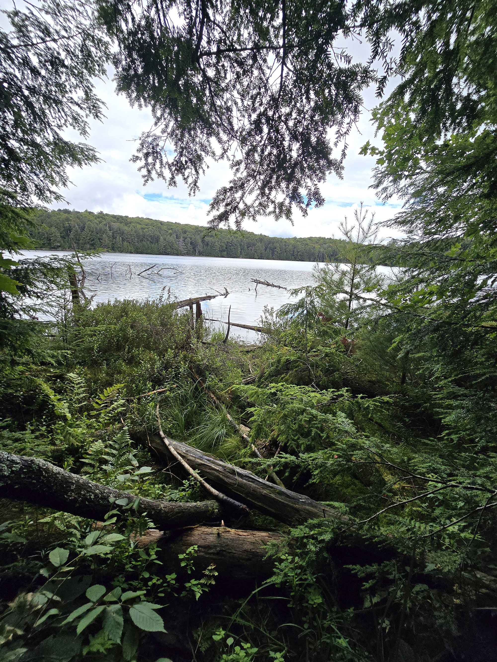 A scenic view along the Hemlock Bluff Trail in Algonquin Provincial Park.