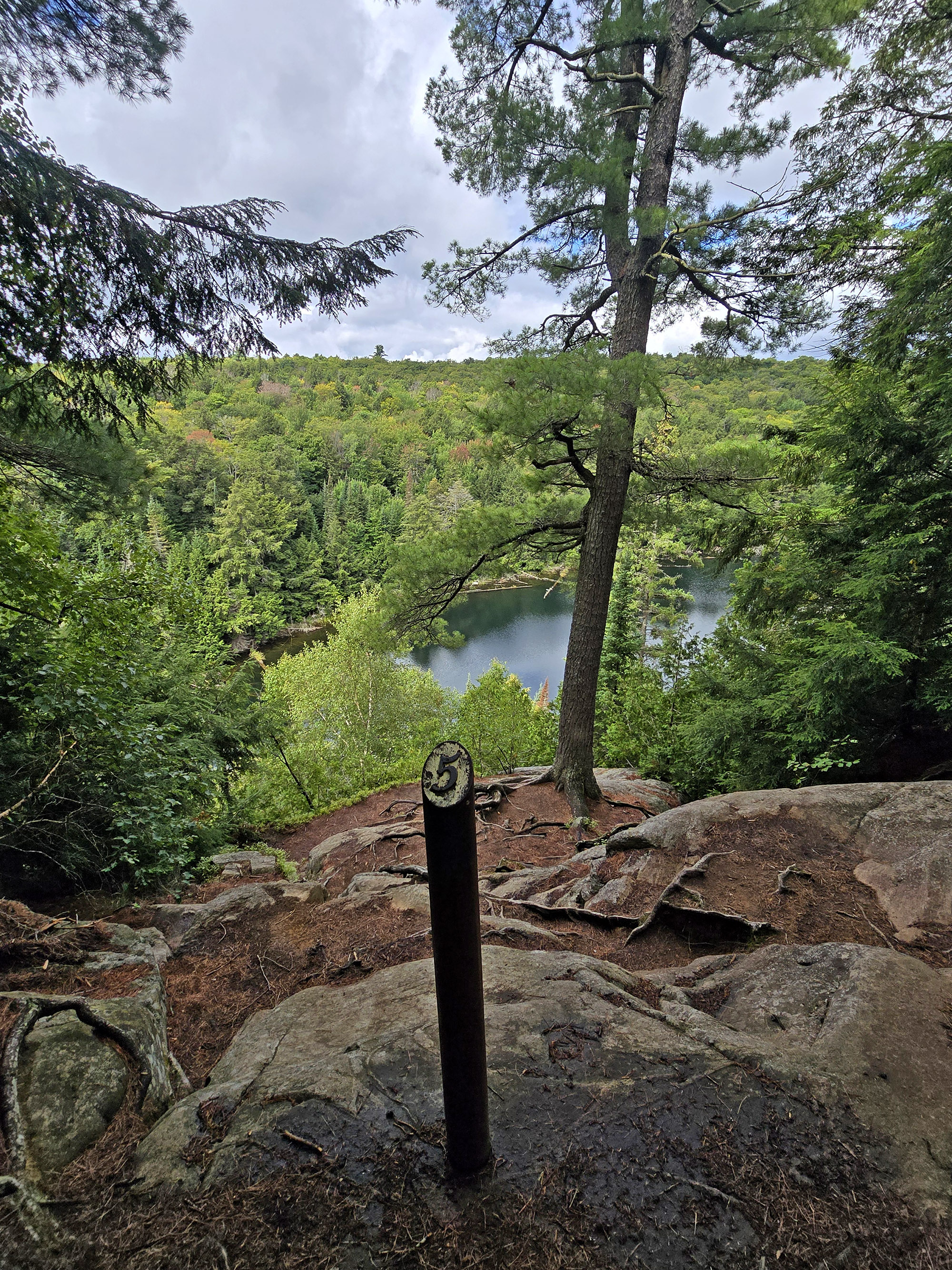 A numbered signpost with a view from the Hemlock Bluff trail.