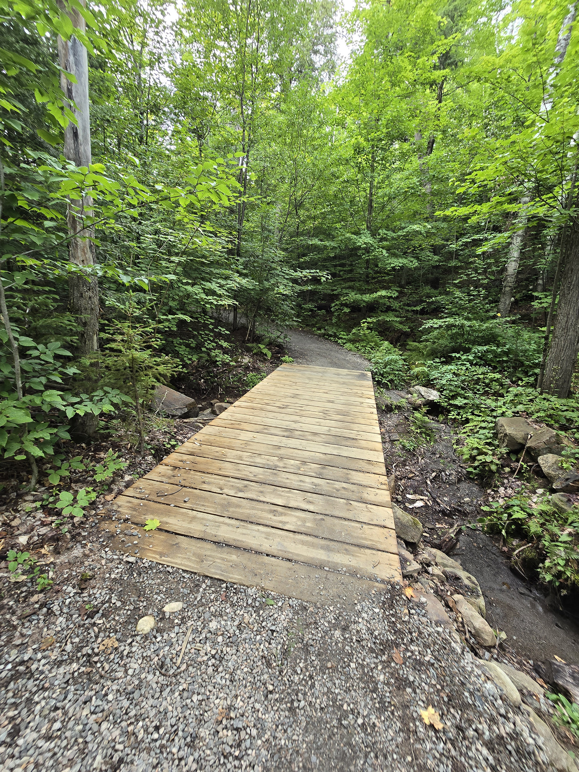 A scenic view along the Lookout Trail in Algonquin Provincial Park.
