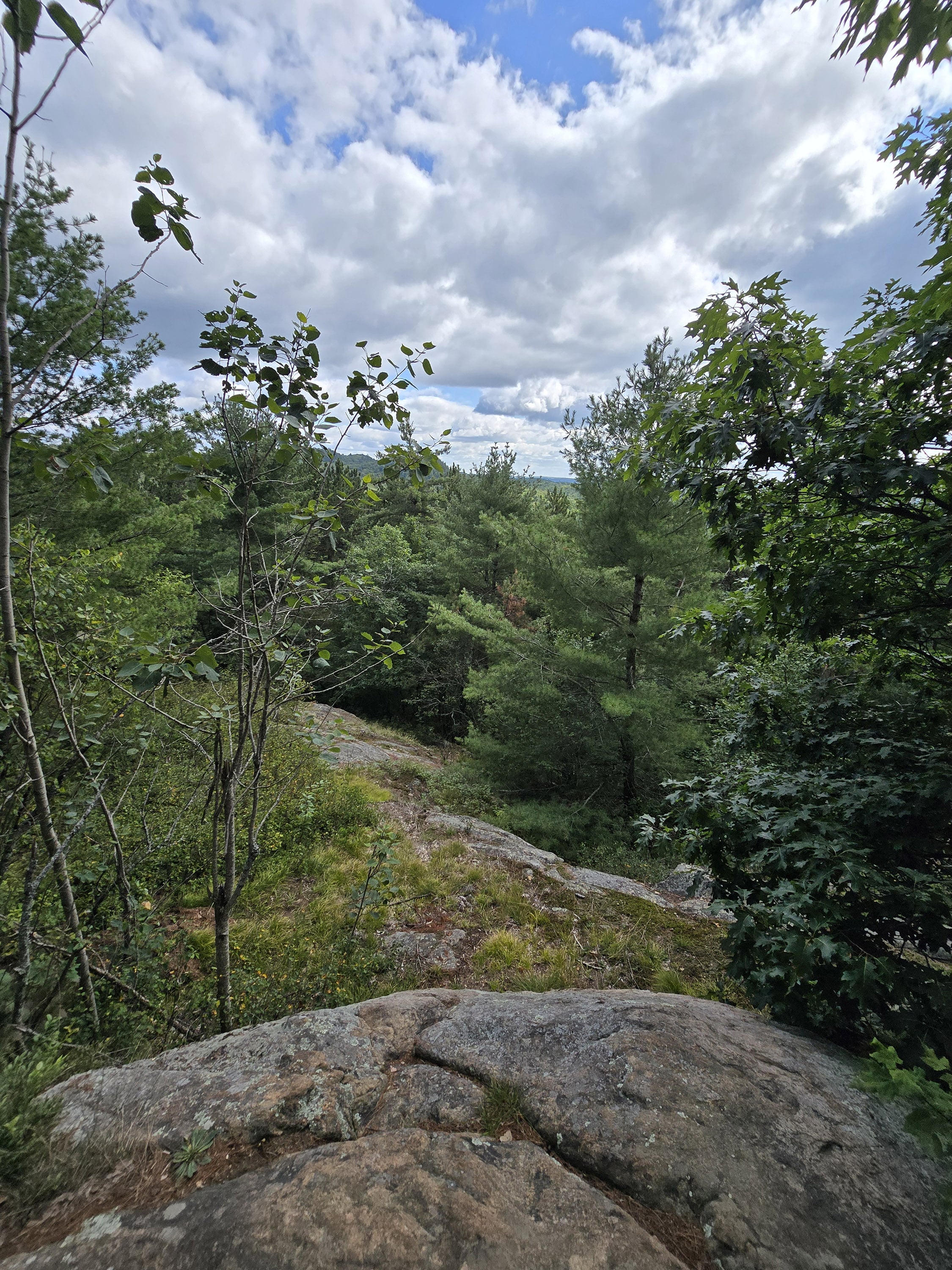 A scenic view along the Lookout Trail in Algonquin Provincial Park.