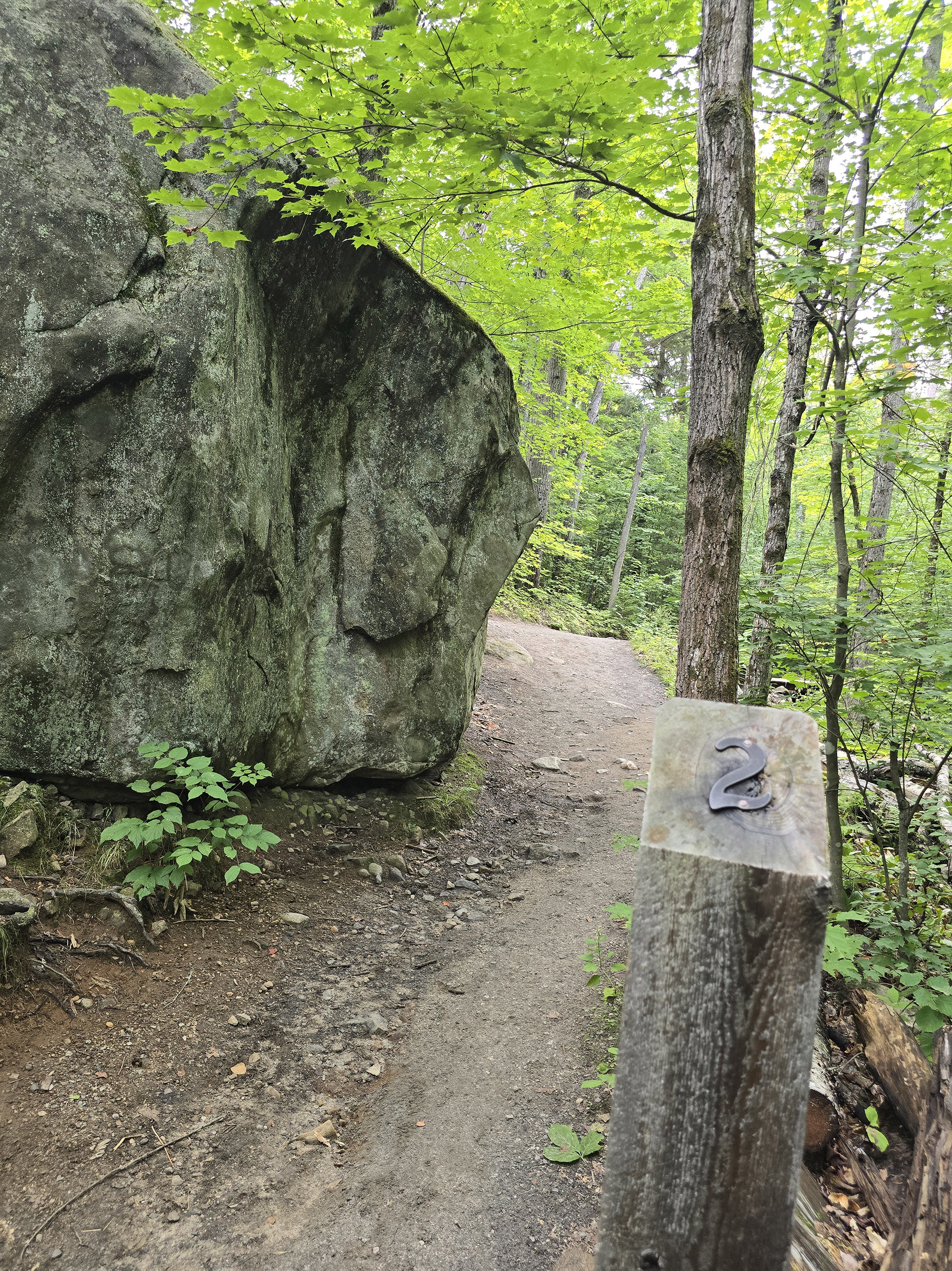 A numbered sign post next to a boulder.