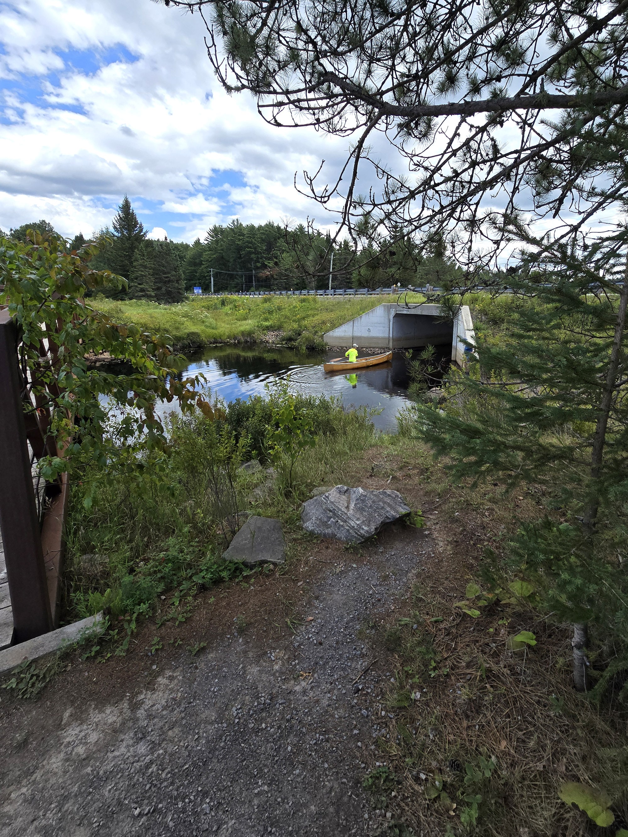 A canoe being launched at Spruce Bog Boardwalk Trail in Algonquin Provincial Park.