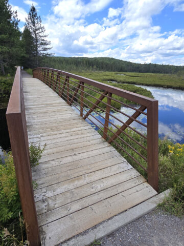A scenic bridge along the Spruce Bog Boardwalk Trail in Algonquin Provincial Park.