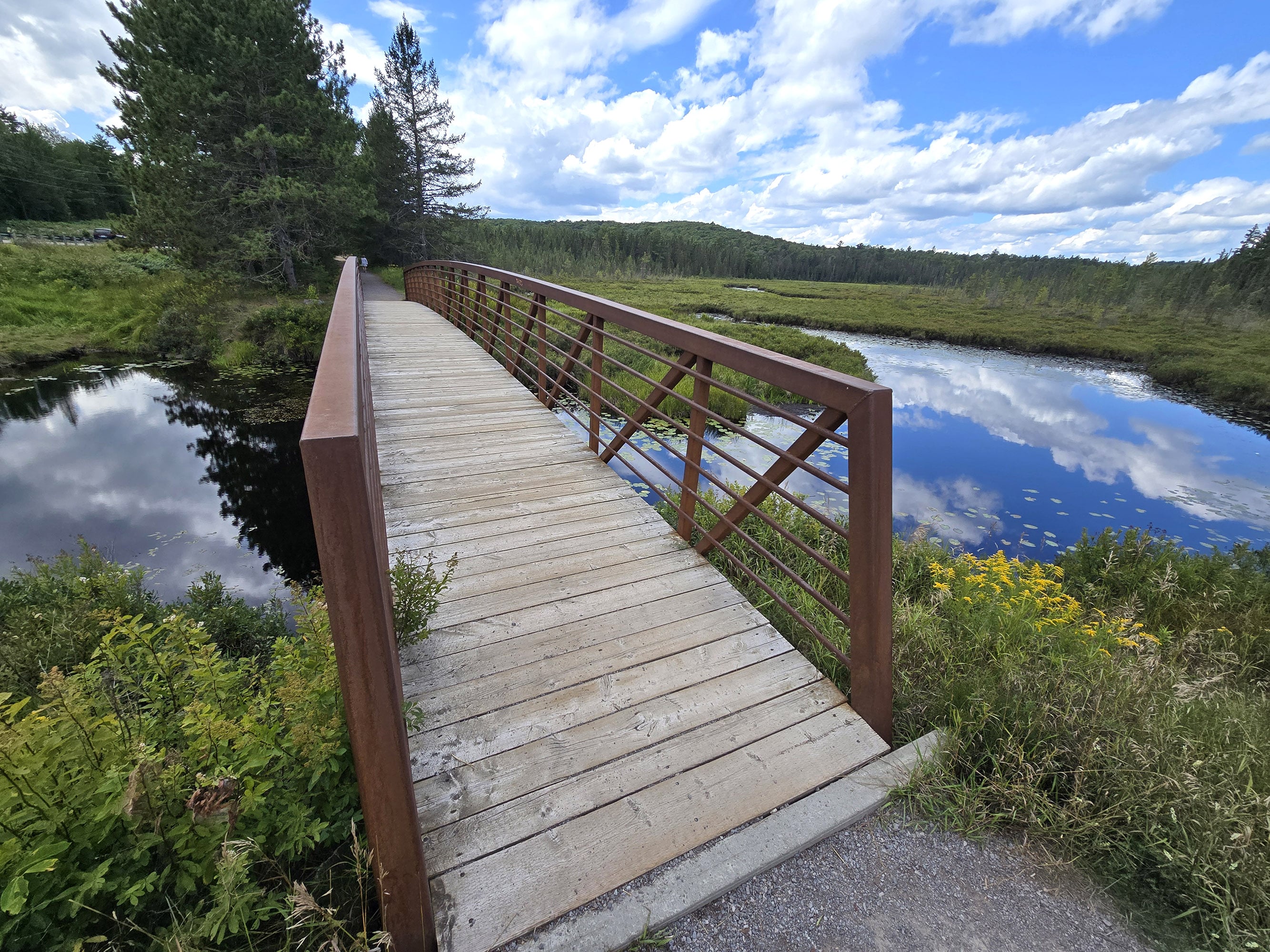 A scenic bridge along the Spruce Bog Boardwalk Trail in Algonquin Provincial Park.
