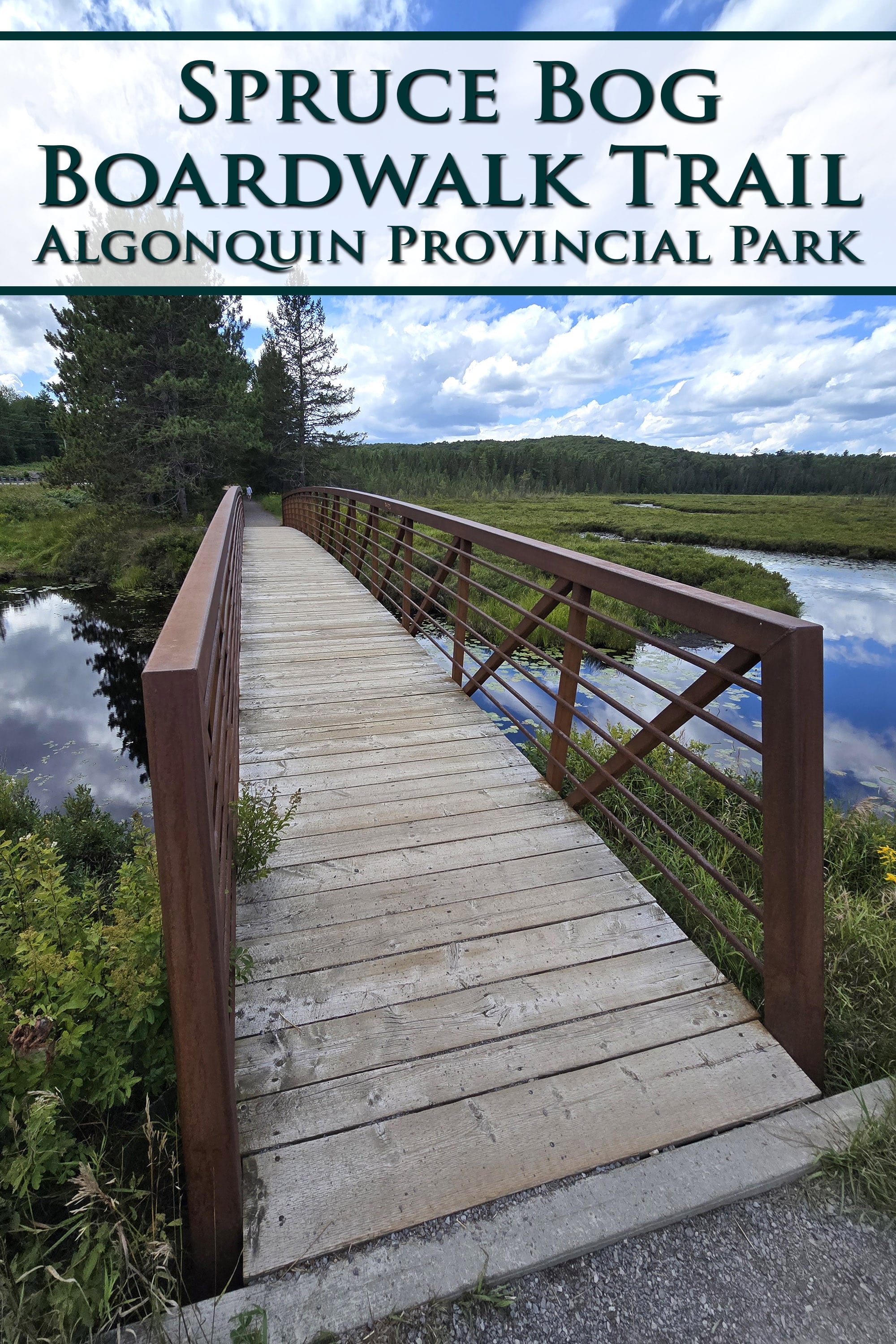A footbridge over a bog. Overlaid text says Spruce Bog Boardwalk Trail, Algonquin Provincial Park.