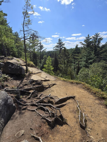 A view off a cliff on the Two Rivers Trail in Algonquin Provincial Park.