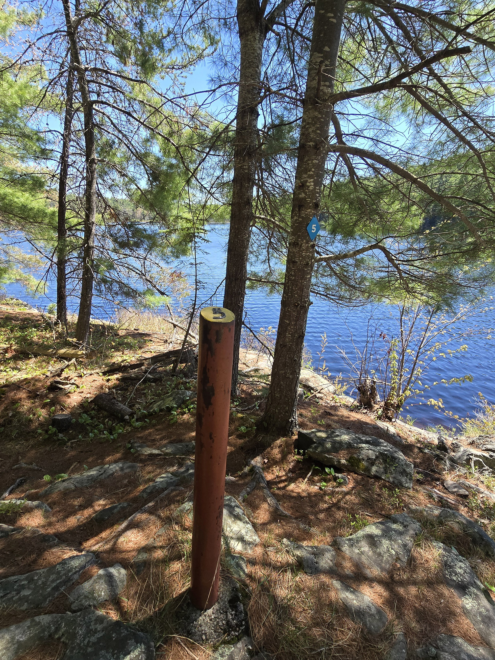 A numbered sign post along the shore of berm lake.