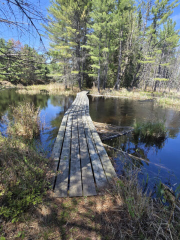 A rustic wooden bridge over some water along the berm lake trail in algonquin provincial park.