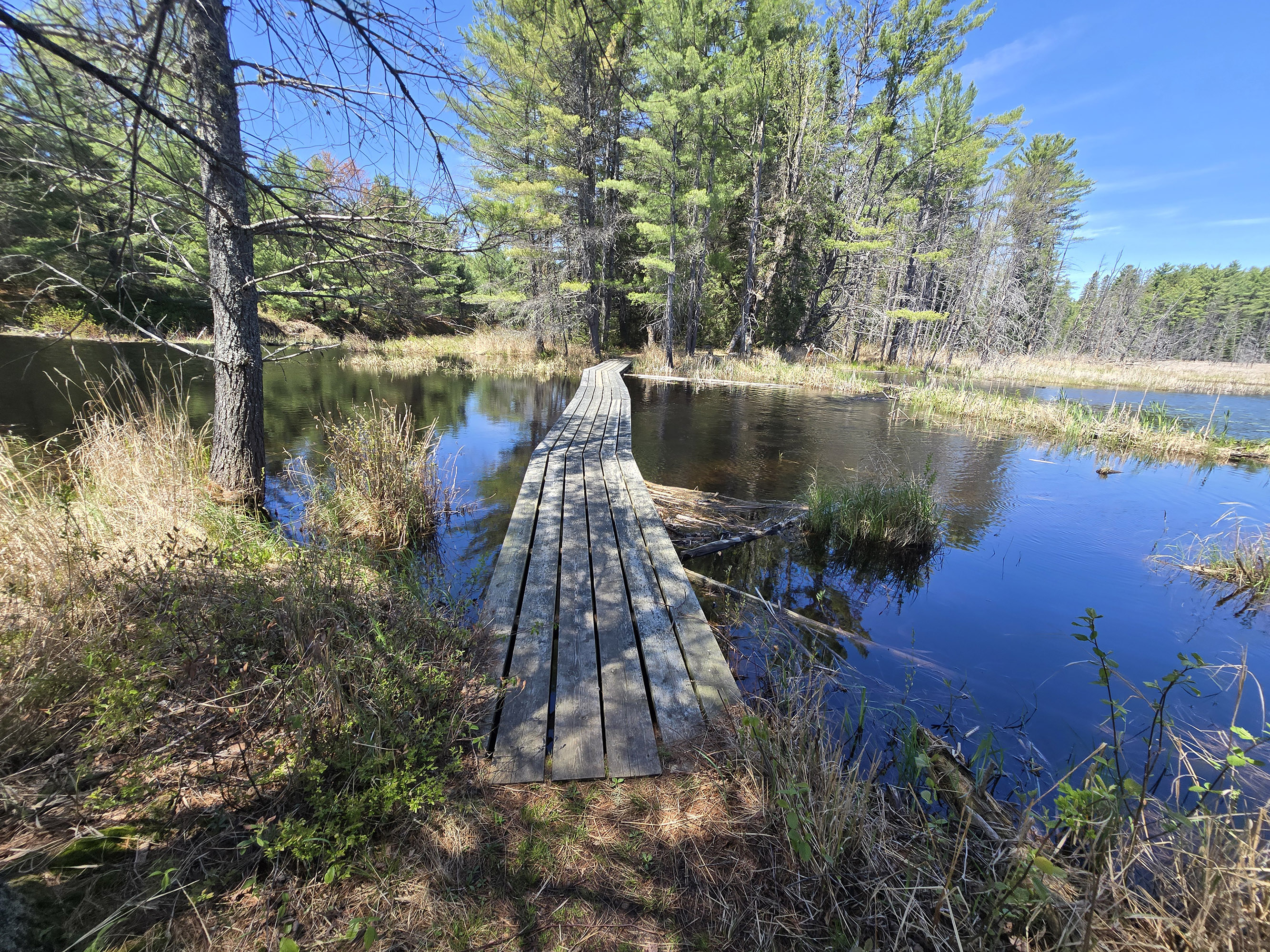 A rustic wooden bridge over some water along the berm lake trail in algonquin provincial park.