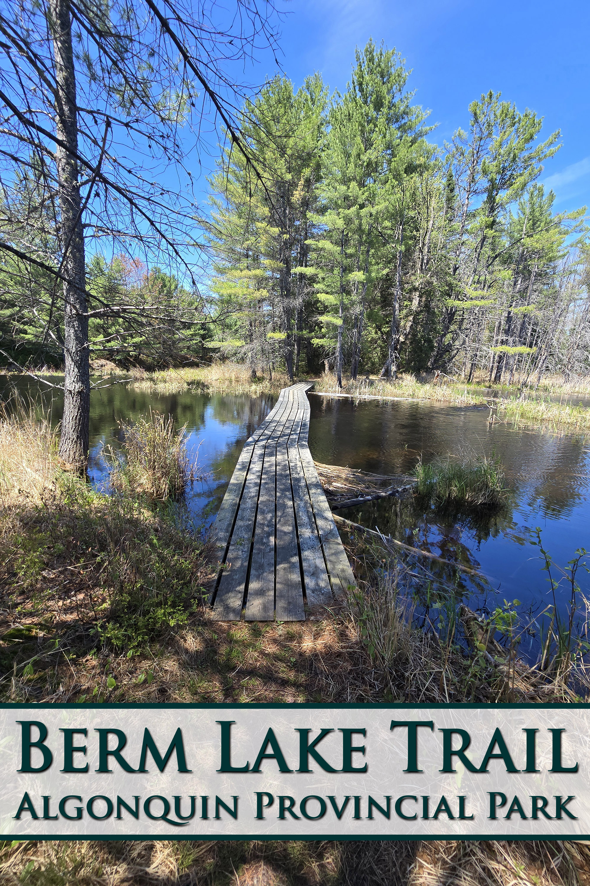 A bridge over a marsh. Overlaid text says berm lake trail algonquin Provincial Park.