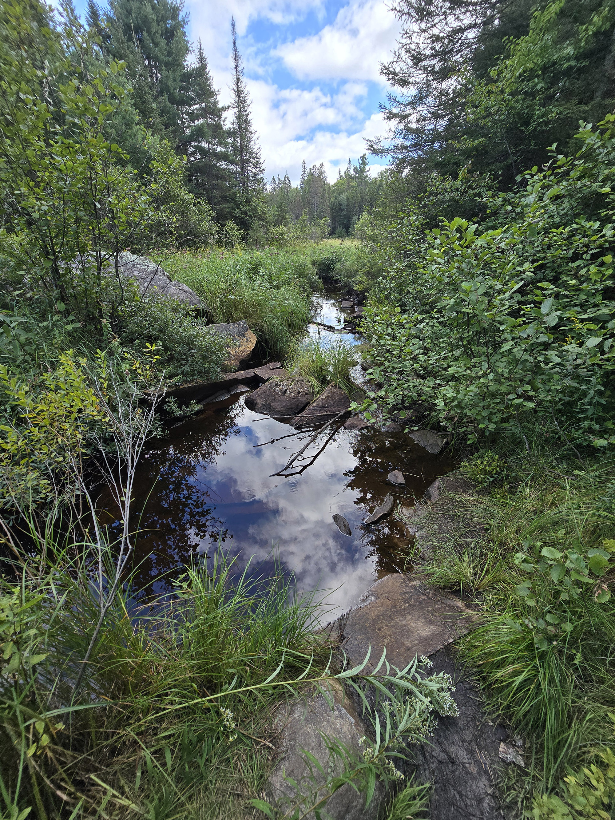 A Scenic view along the Big Pines Trail in Algonquin Provincial Park.