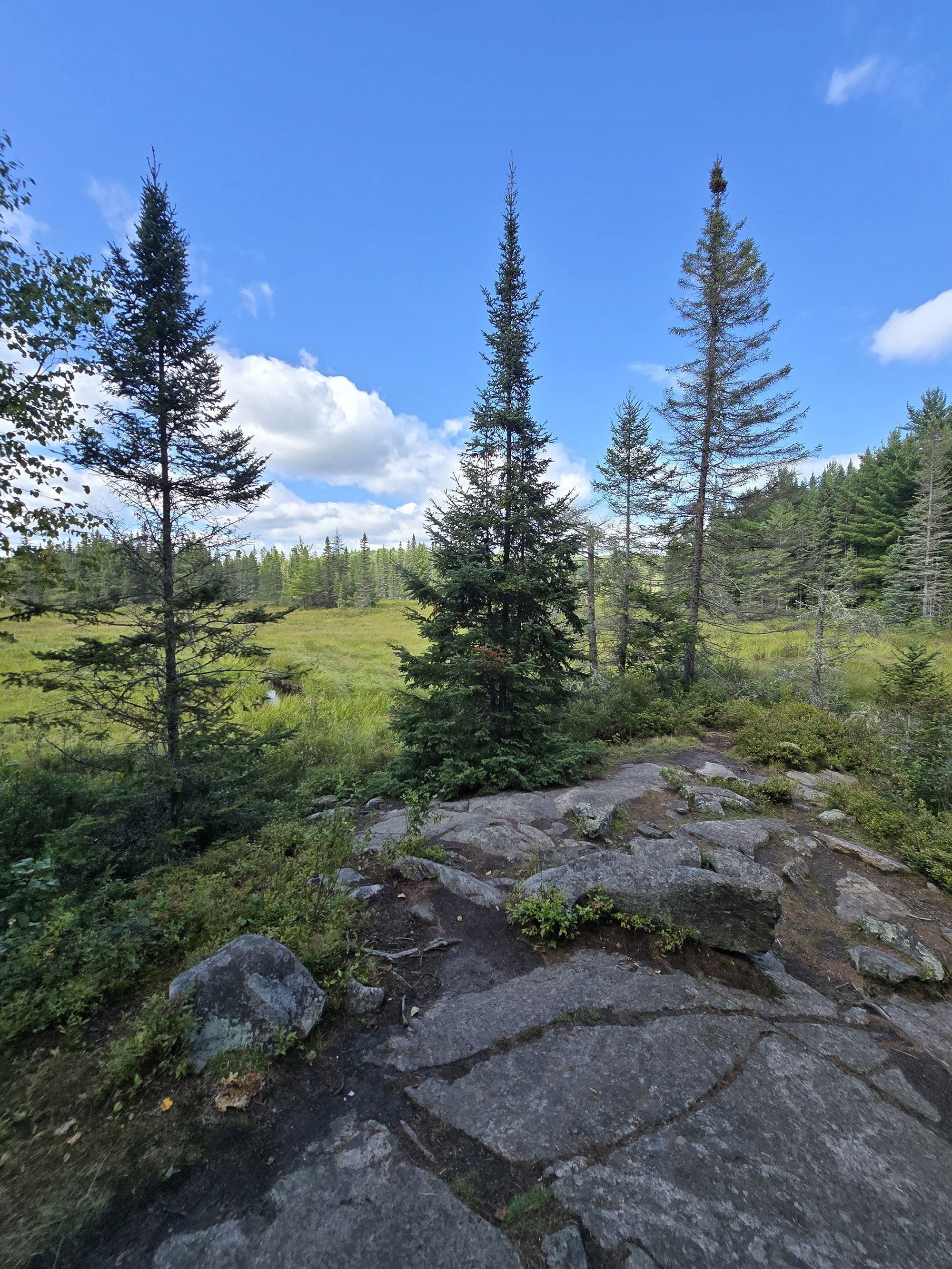 A Scenic view along the Big Pines Trail in Algonquin Provincial Park.