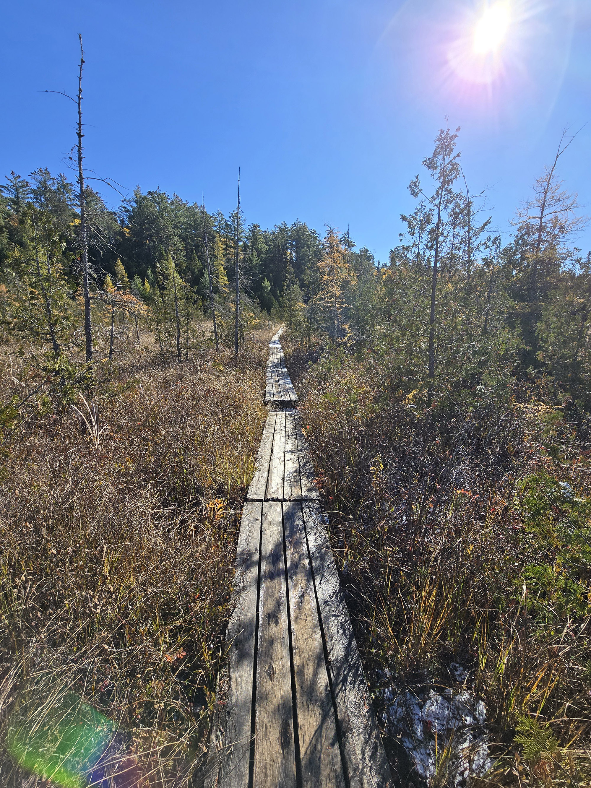 A Scenic View along the Brent Crater Trail in Algonquin Provincial Park.