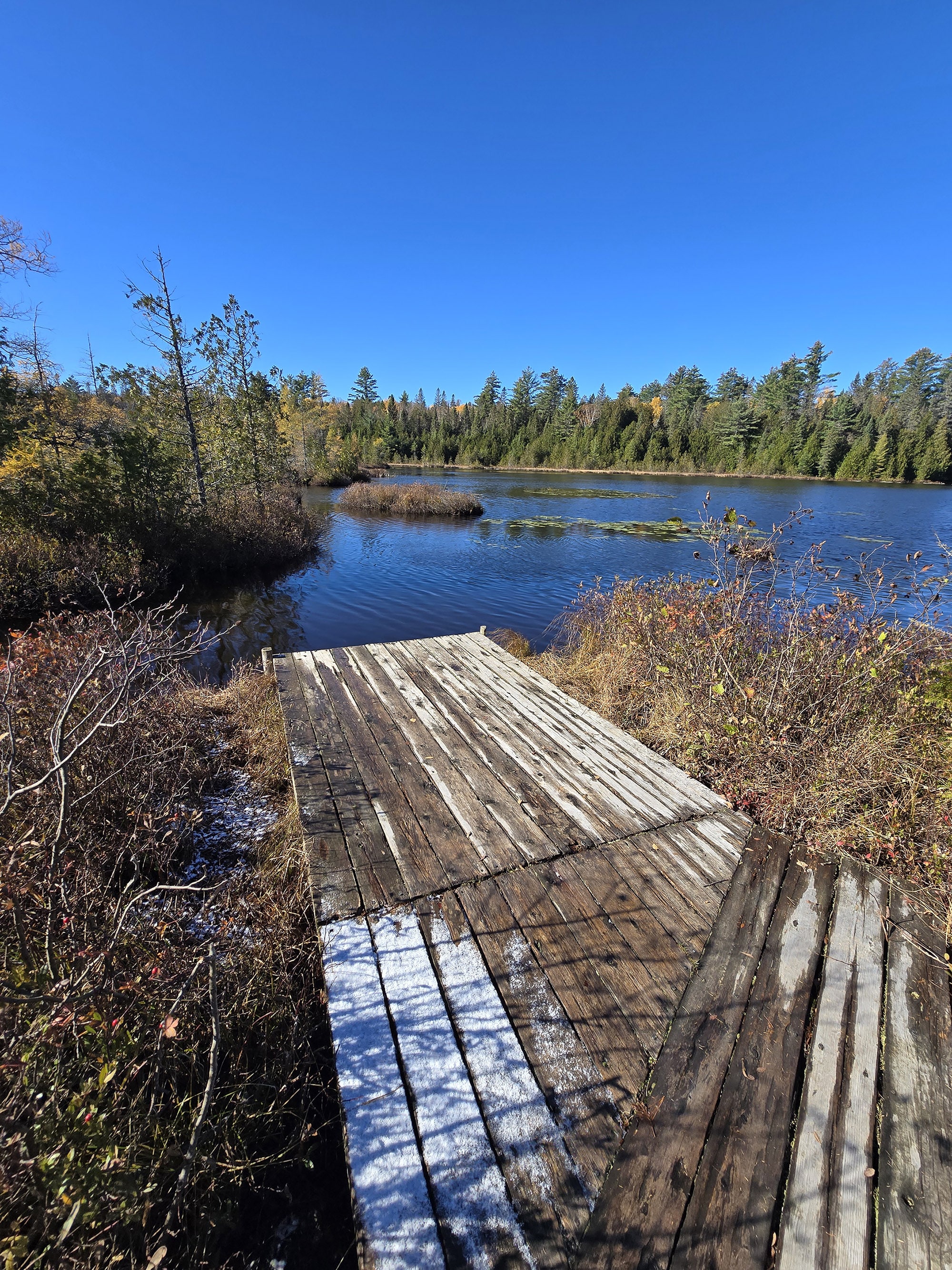 A Scenic View along the Brent Crater Trail in Algonquin Provincial Park.
