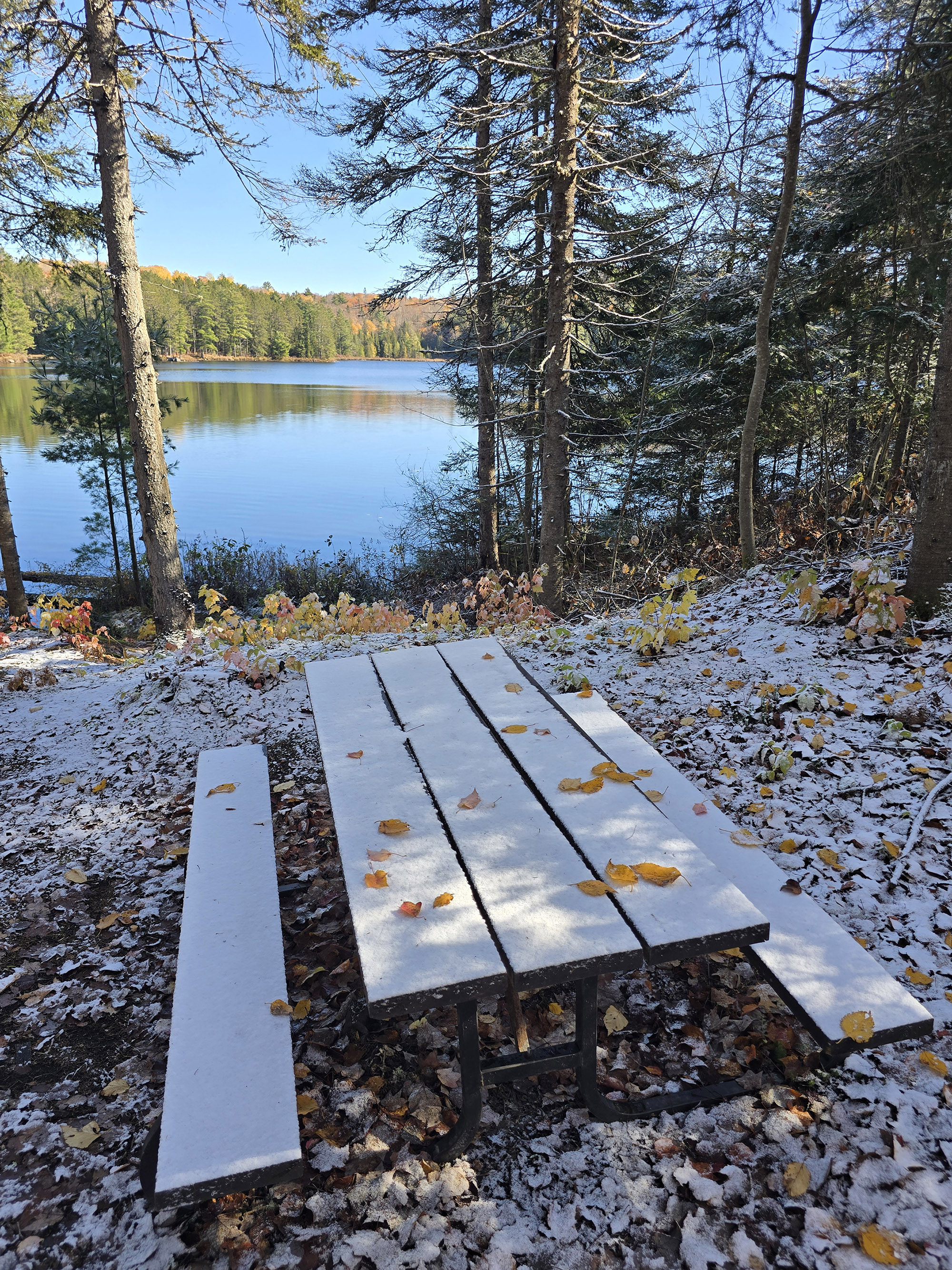 A Scenic View along the Brent Crater Trail in Algonquin Provincial Park.