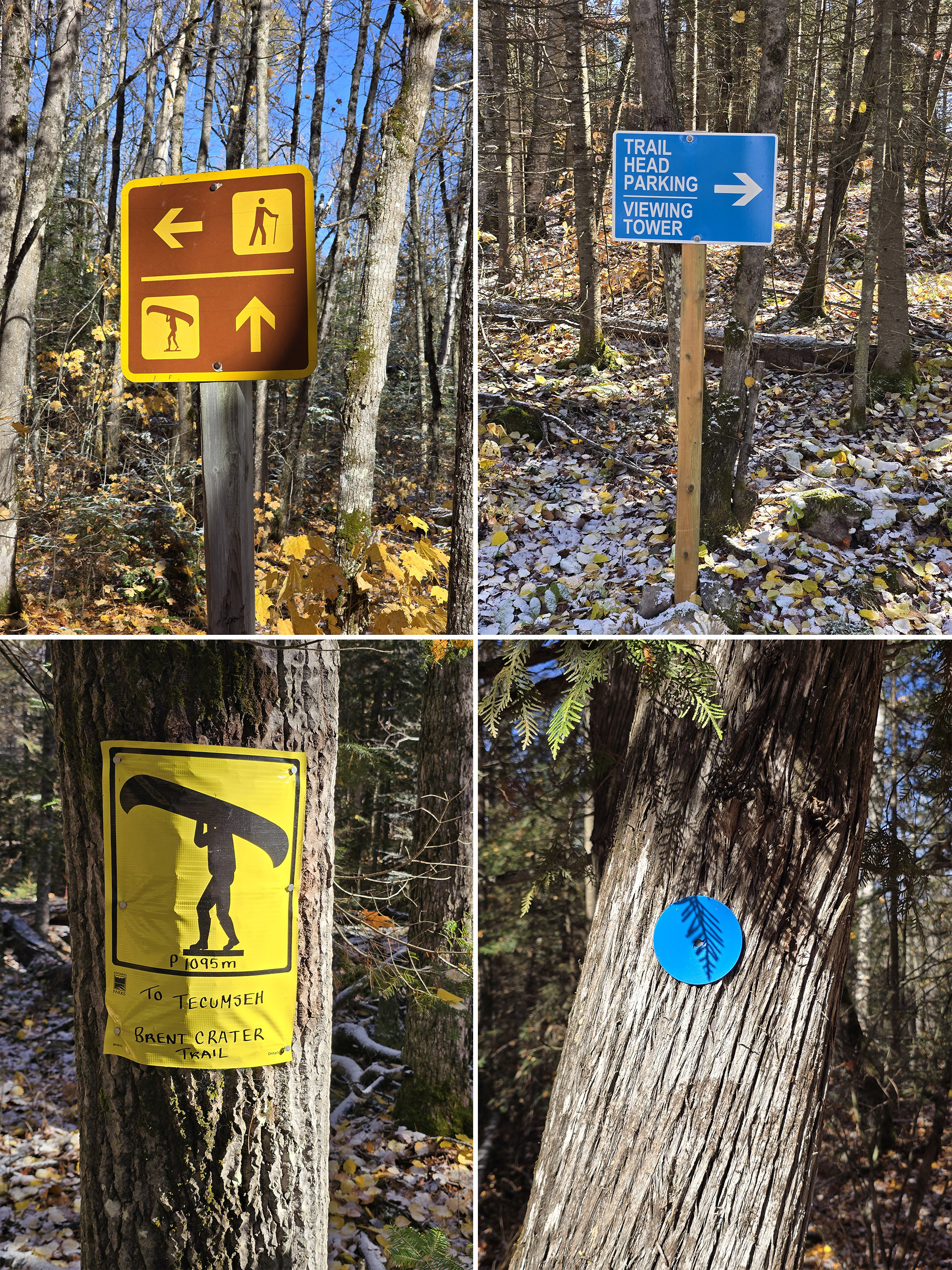 4 part image showing various signage along the brent crater trail.