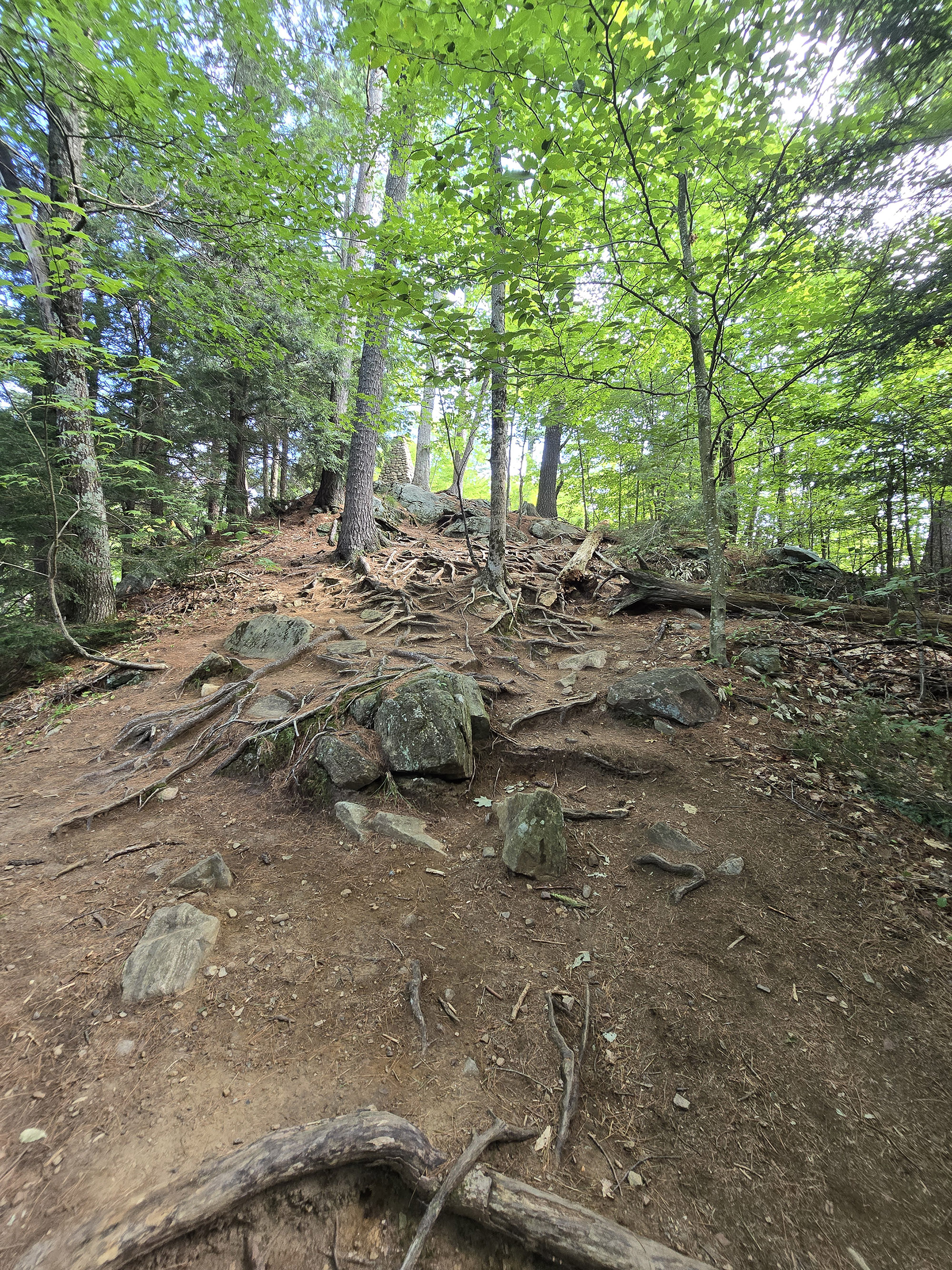 A scenic view along the Hardwood Lookout Trail in Algonquin Provincial Park.