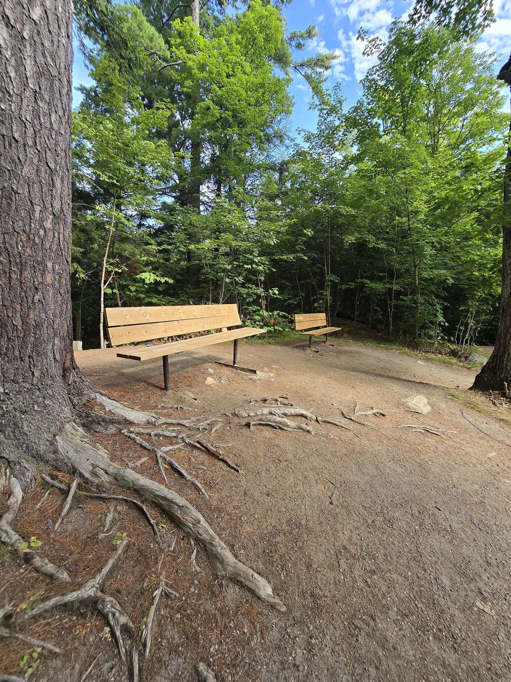 A scenic view along the Hardwood Lookout Trail in Algonquin Provincial Park.