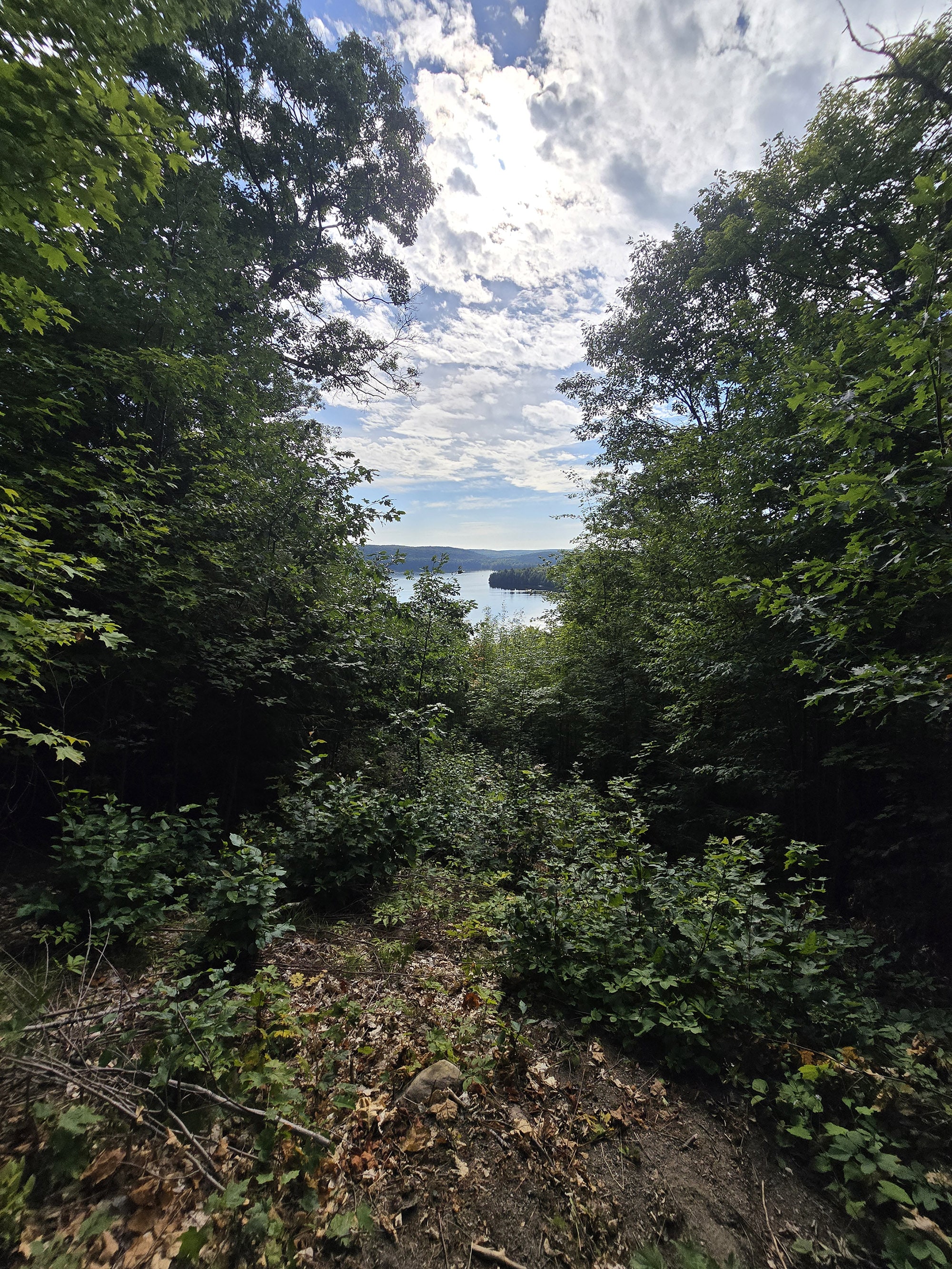 A scenic view along the Hardwood Lookout Trail in Algonquin Provincial Park.