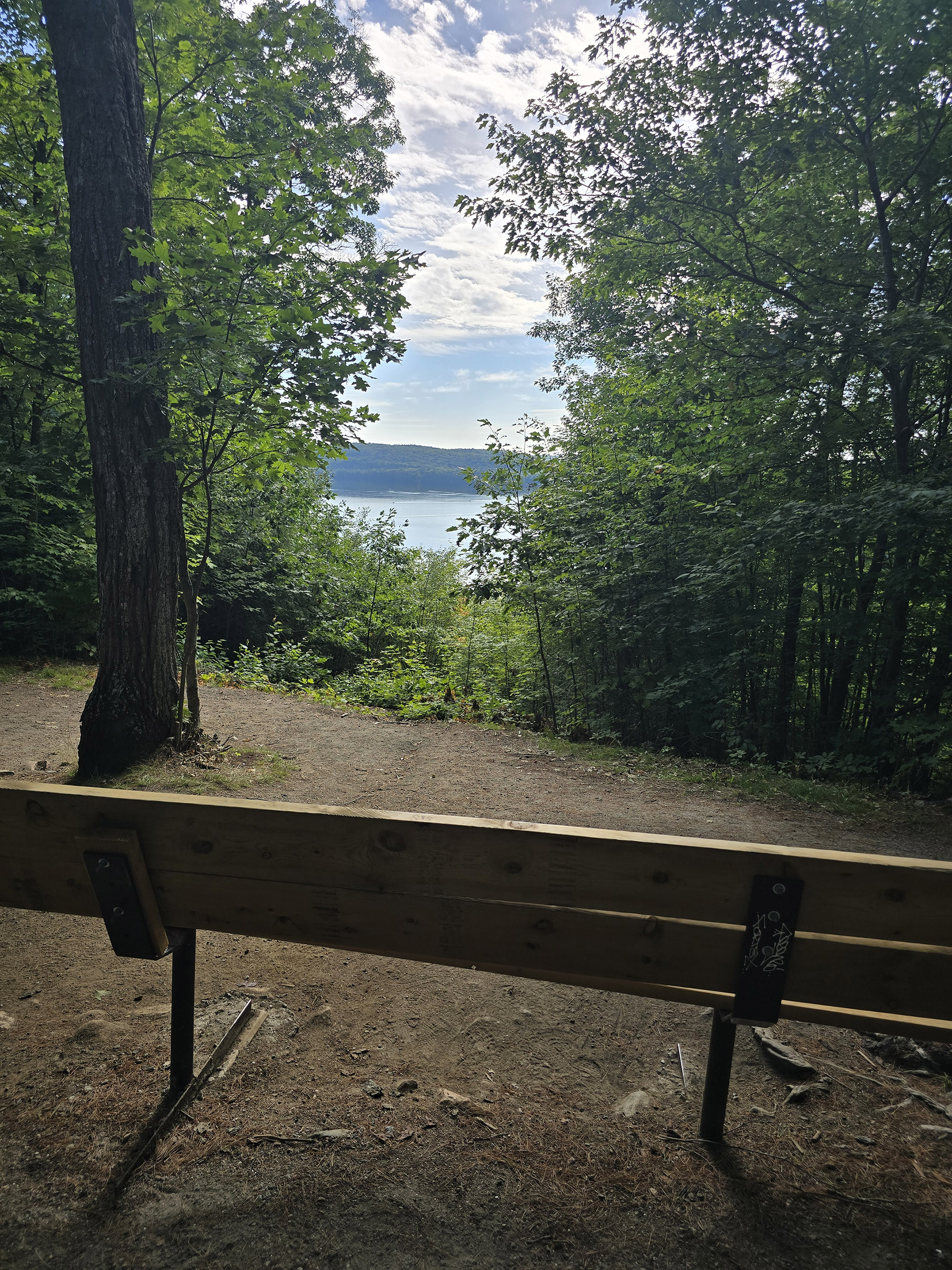 A scenic view along the Hardwood Lookout Trail in Algonquin Provincial Park.