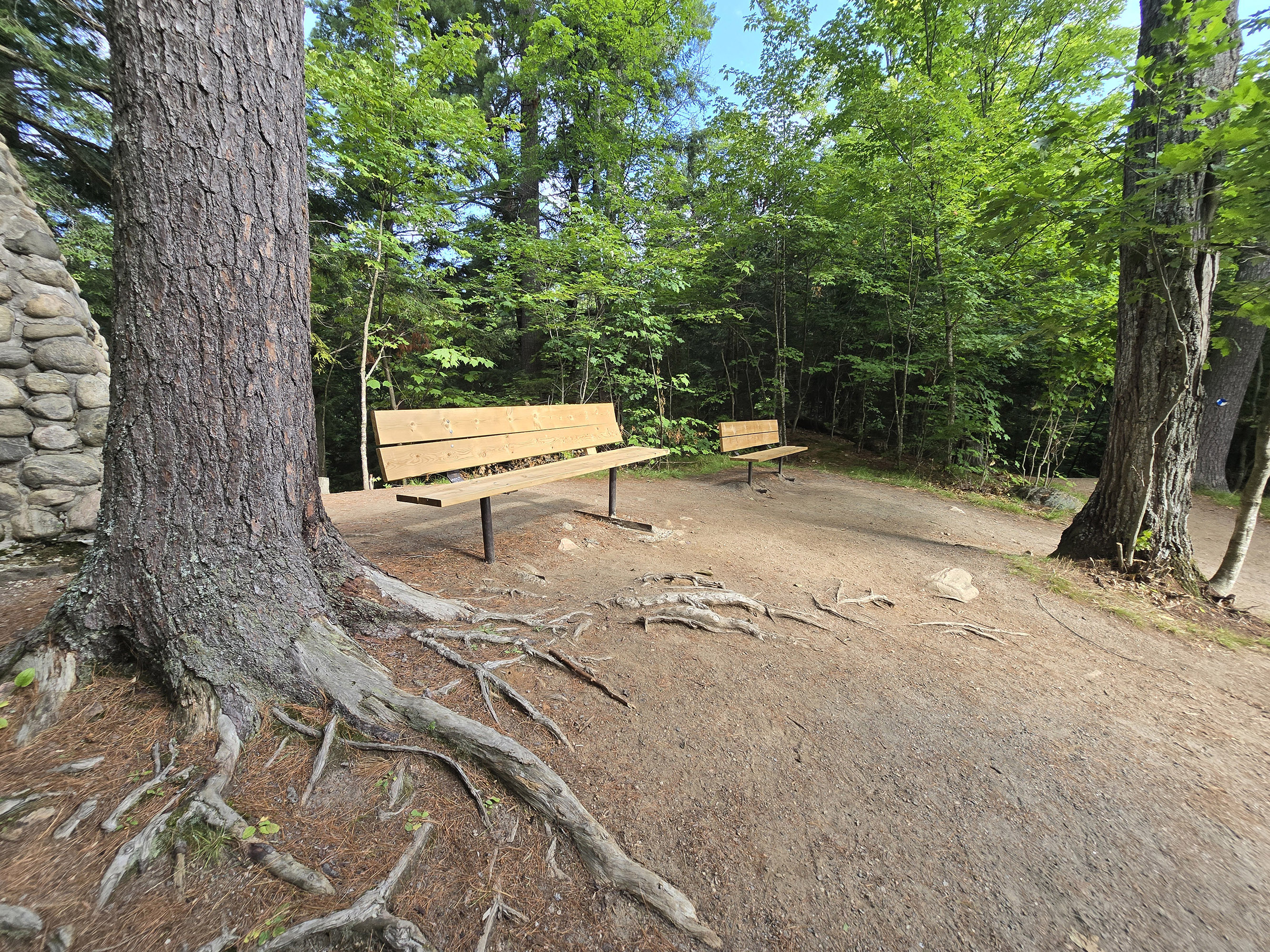 2 benches at the Hardwood Lookout Trail in Algonquin Provincial Park.