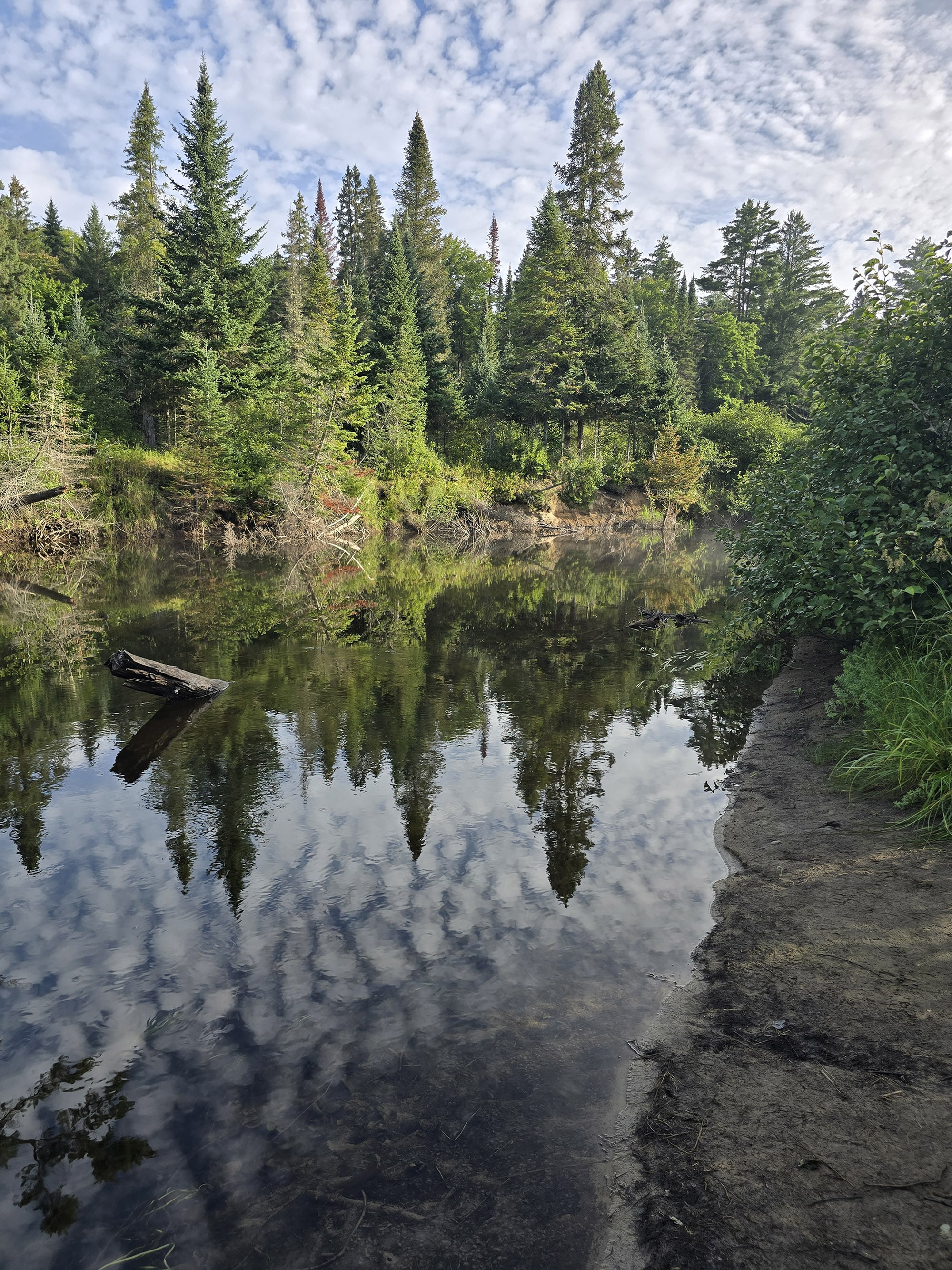A scenic view from the Whiskey Rapids Trail in Algonquin Provincial Park.