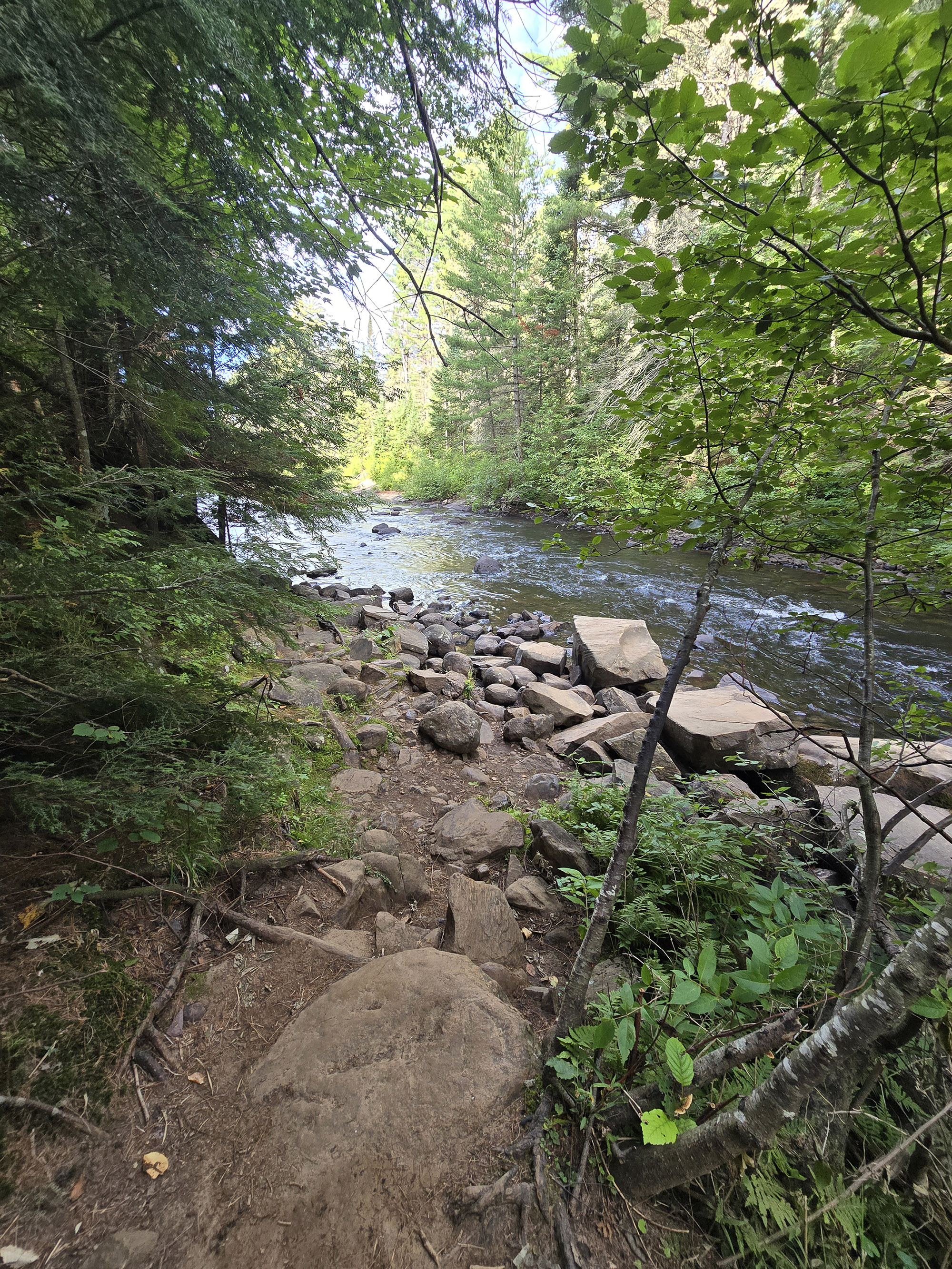A scenic view from the Whiskey Rapids Trail in Algonquin Provincial Park.