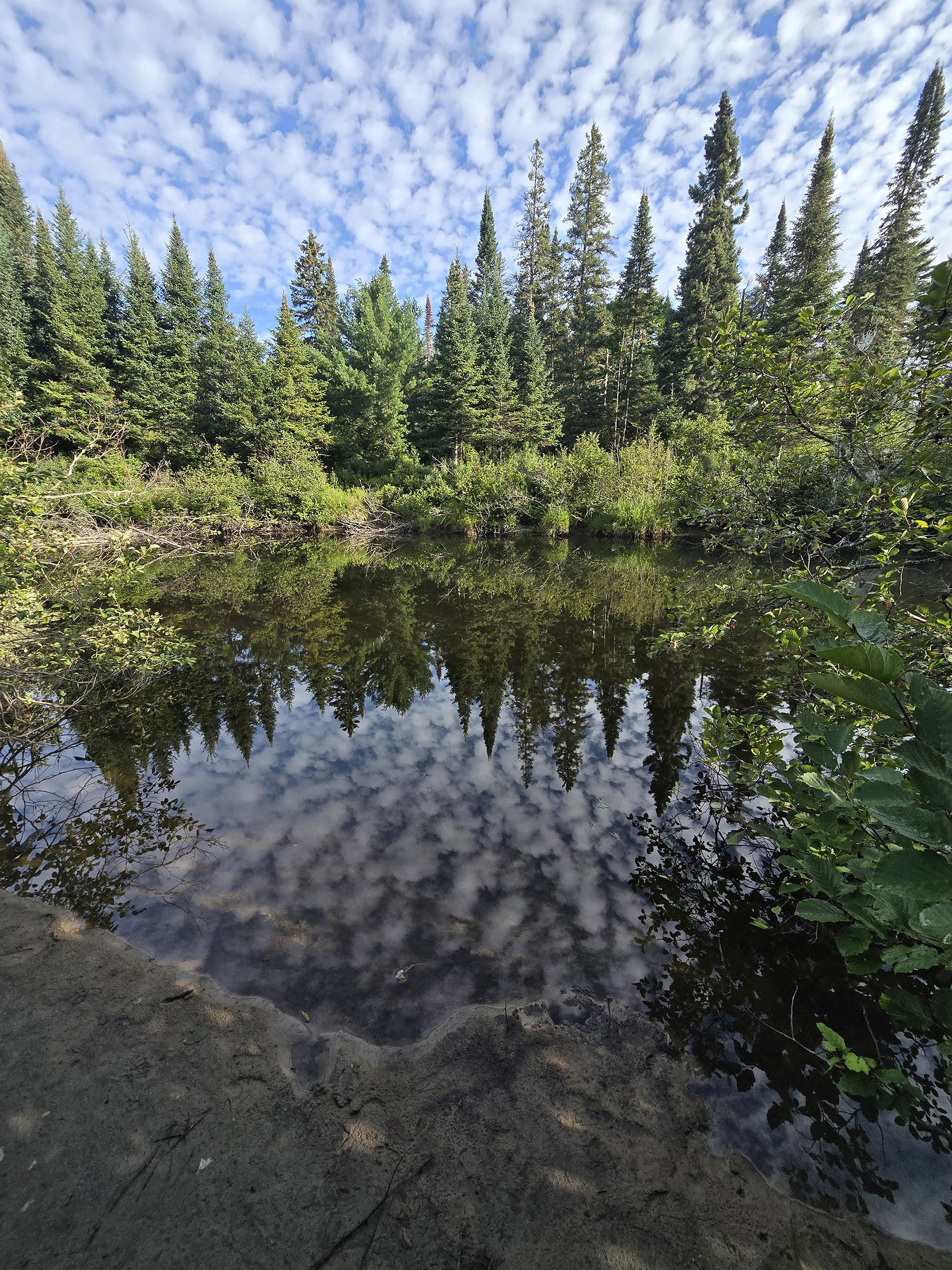 A scenic view from the Whiskey Rapids Trail in Algonquin Provincial Park.