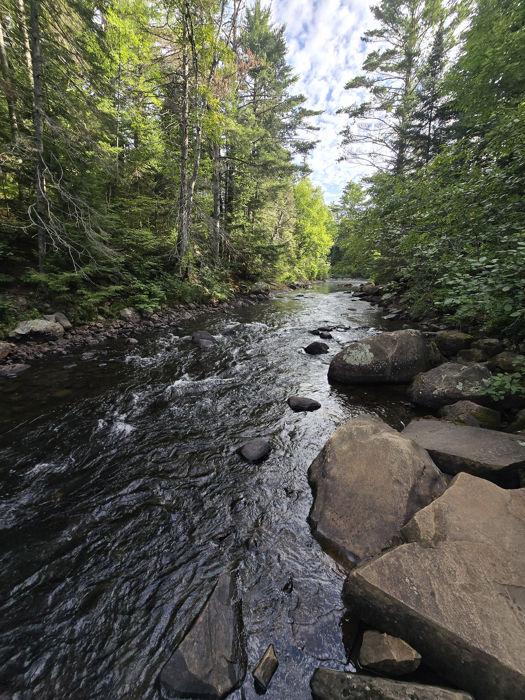 A scenic view from the Whiskey Rapids Trail in Algonquin Provincial Park.