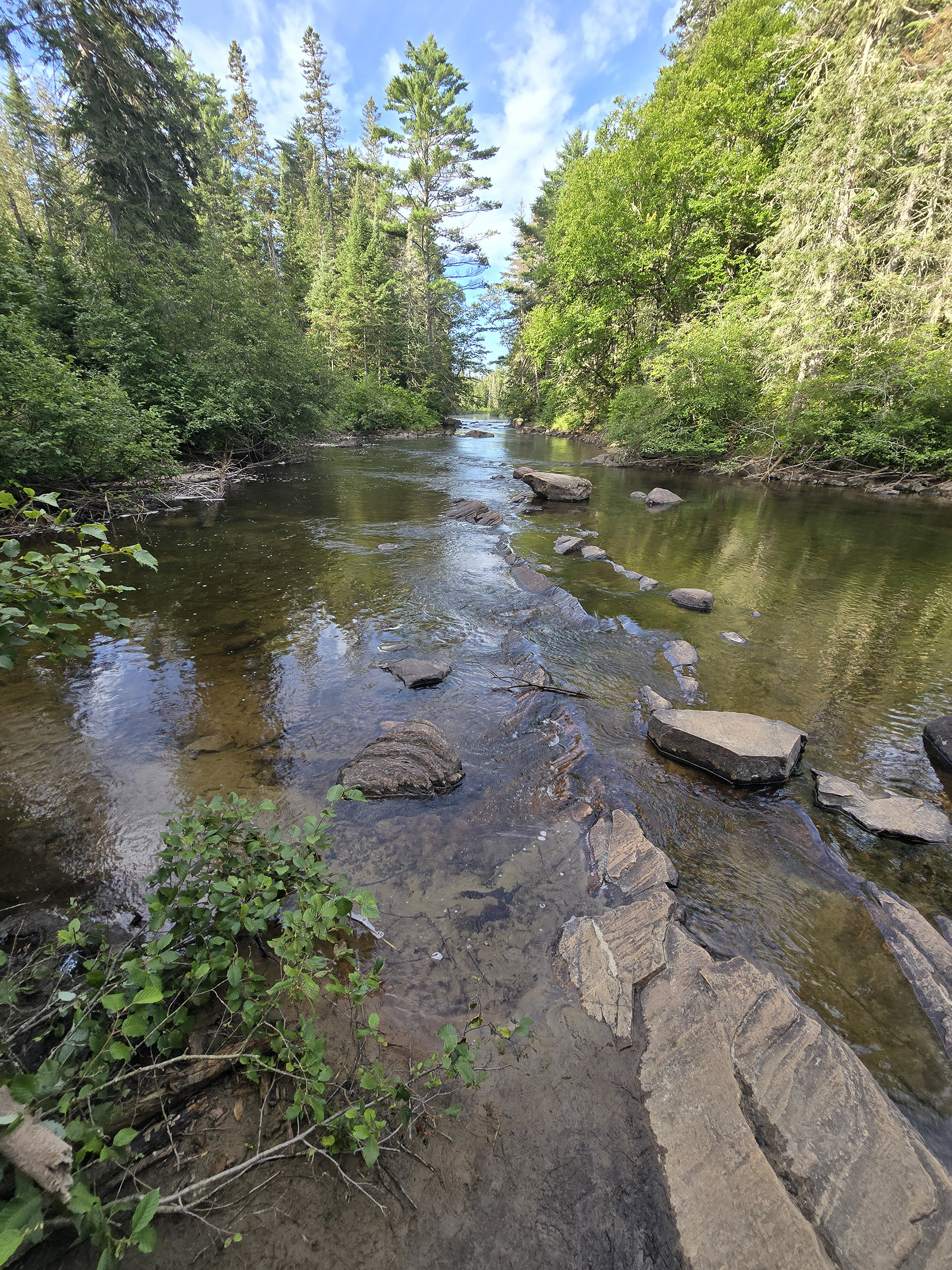 A scenic view from the Whiskey Rapids Trail in Algonquin Provincial Park.