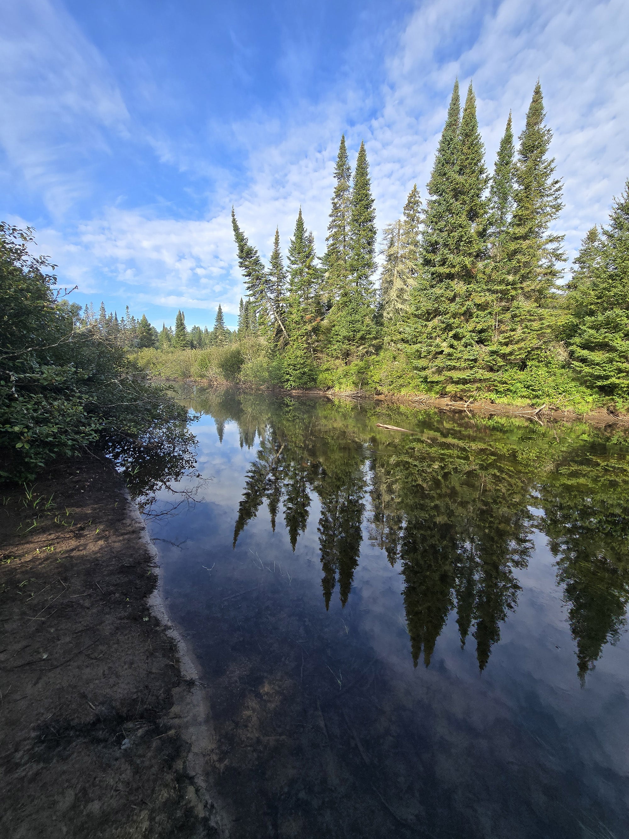 A scenic view from the Whiskey Rapids Trail in Algonquin Provincial Park.