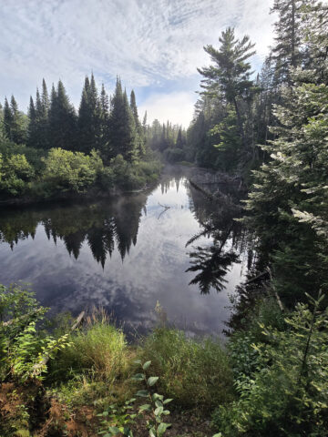 A scenic view from the Whiskey Rapids Trail in Algonquin Provincial Park.